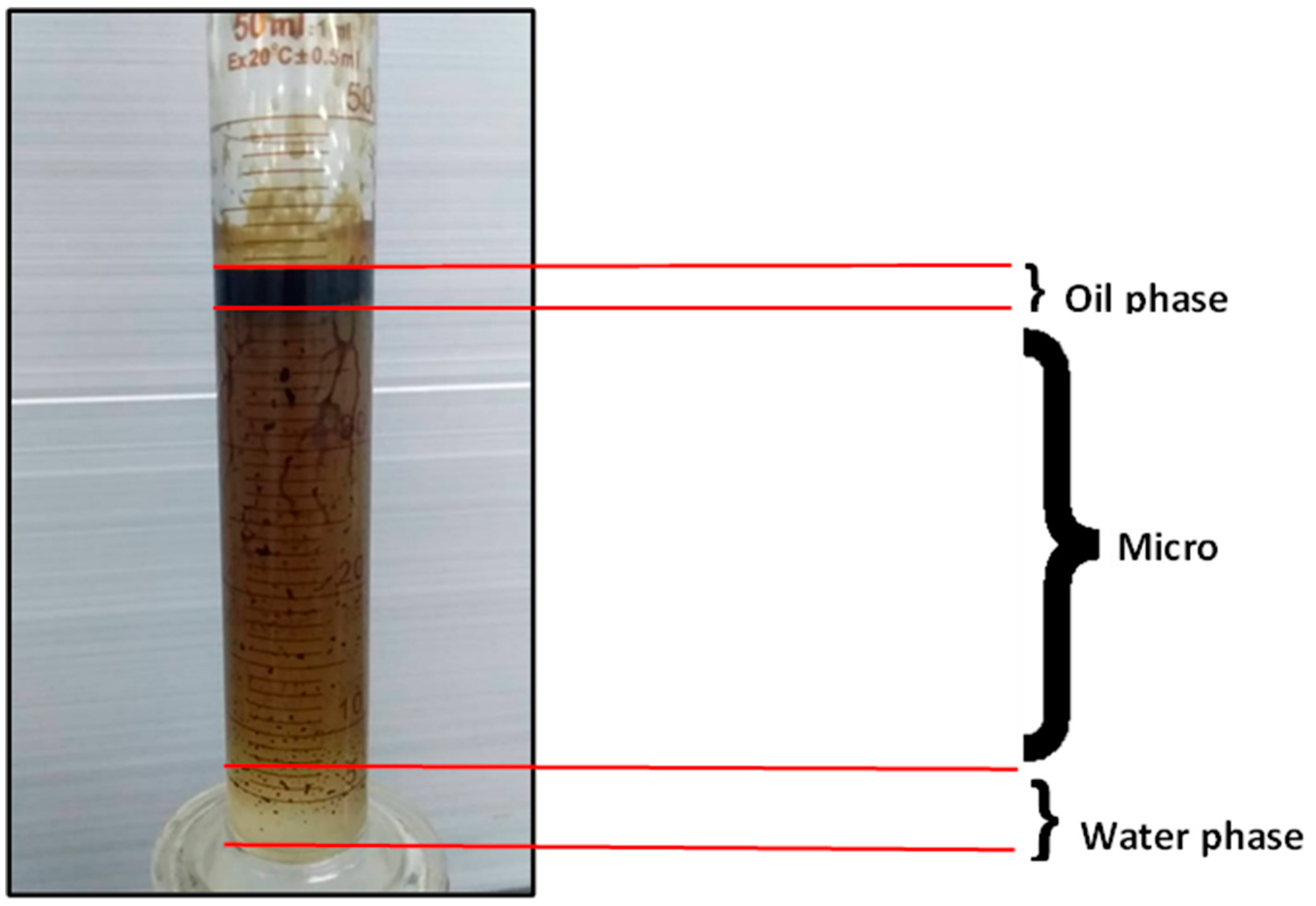 Preprints 69436 g018
