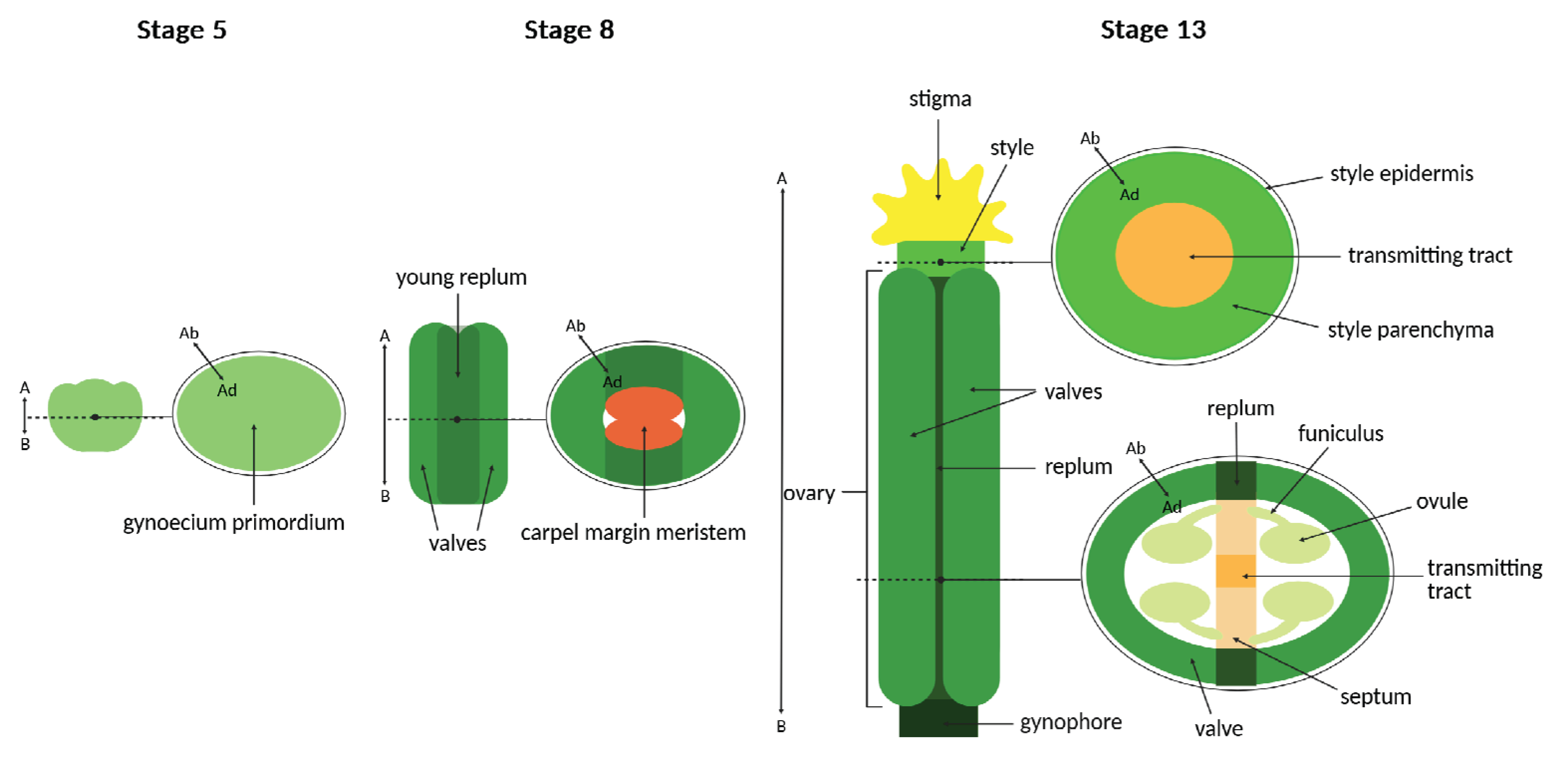 Preprints 170709 g001