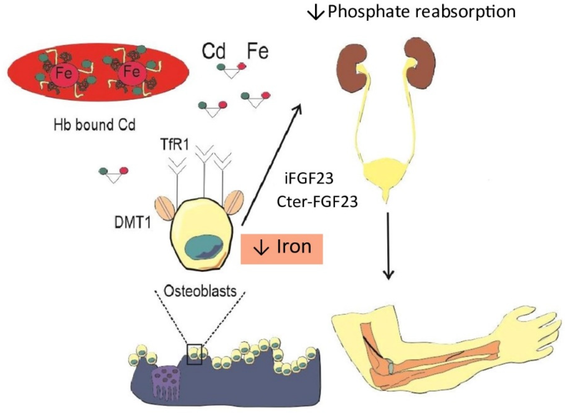 Preprints 192998 g002