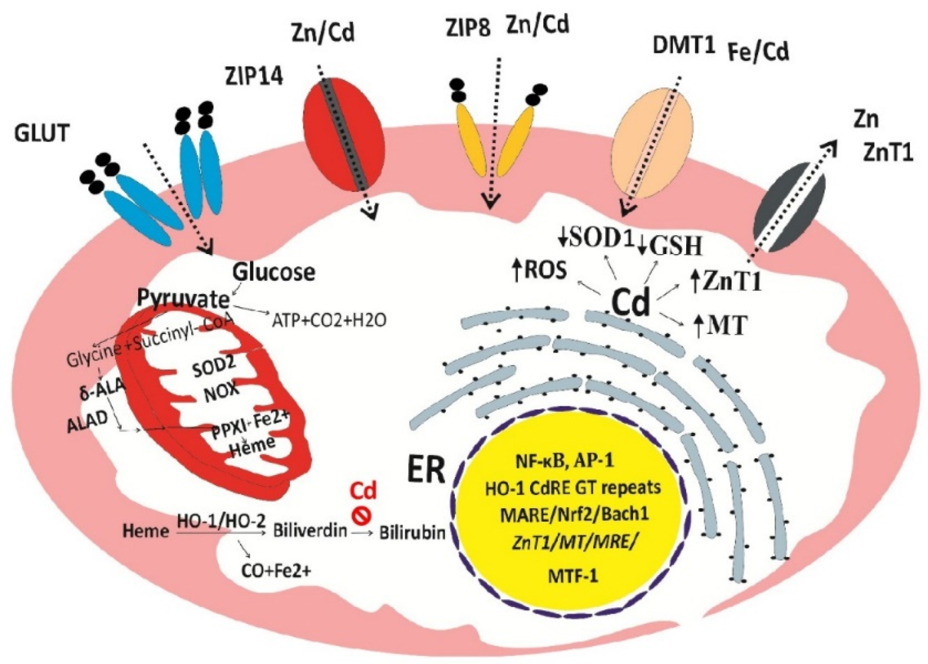 Preprints 192998 g003