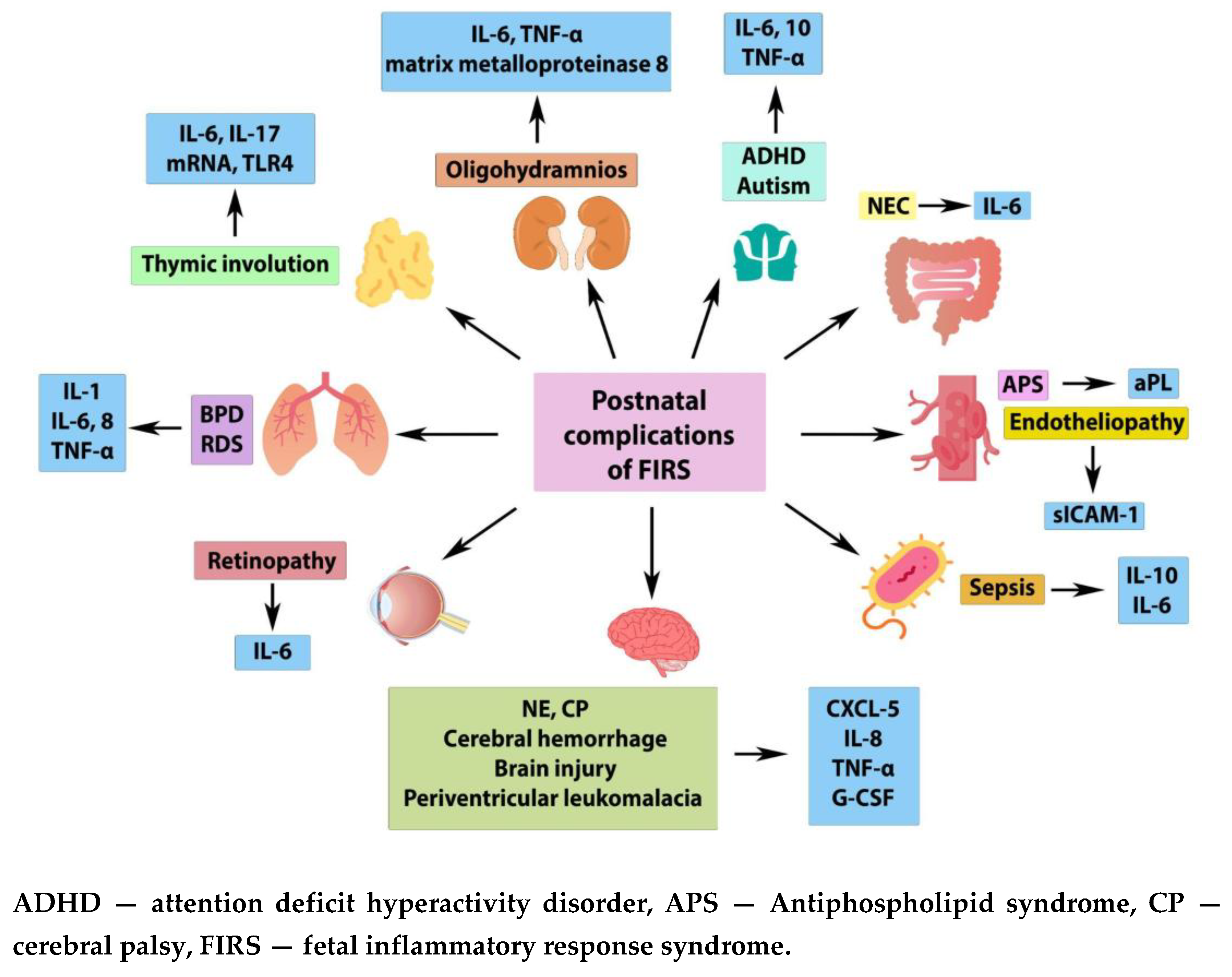 Preprints 148648 g001