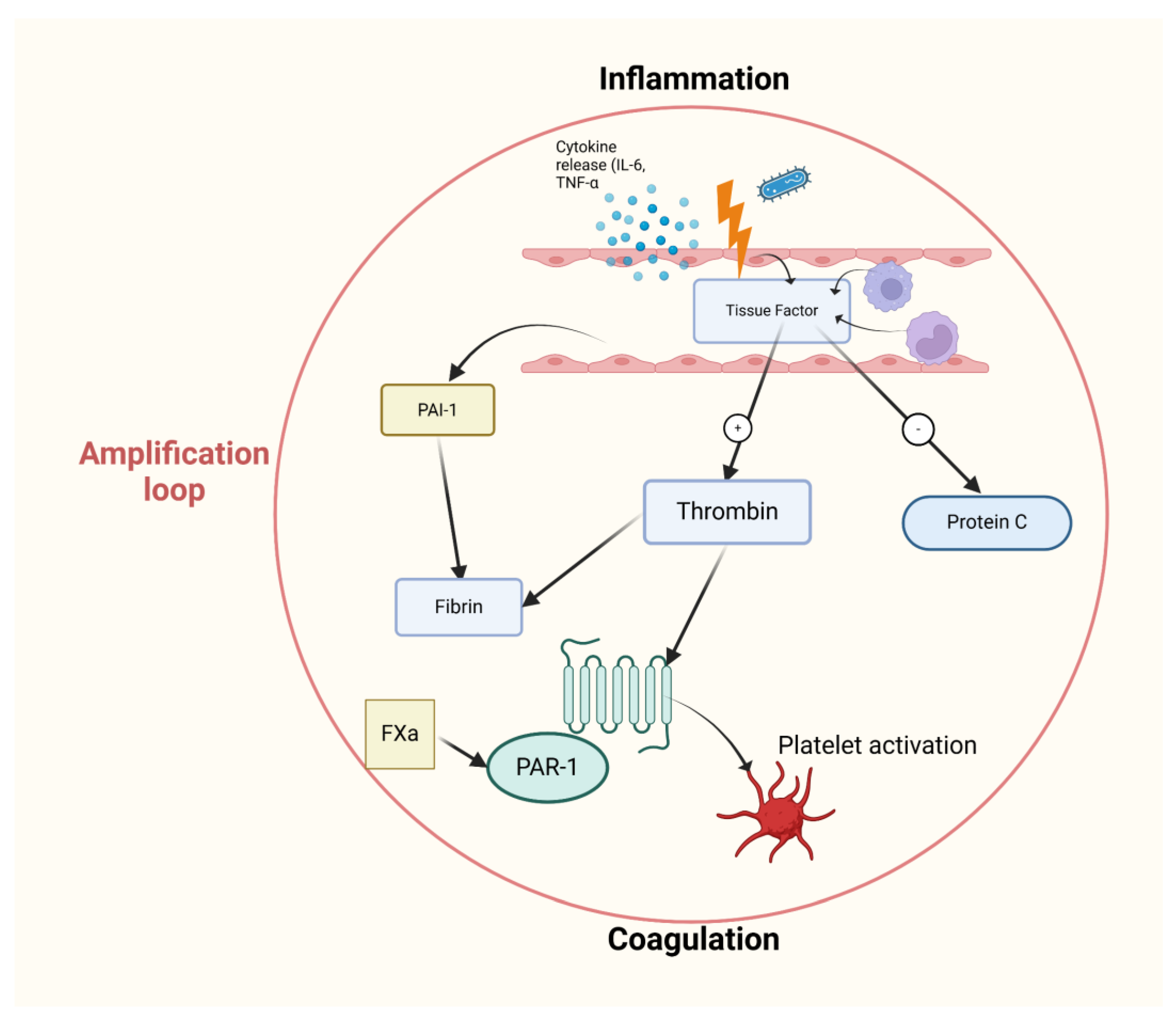 Preprints 148648 g002