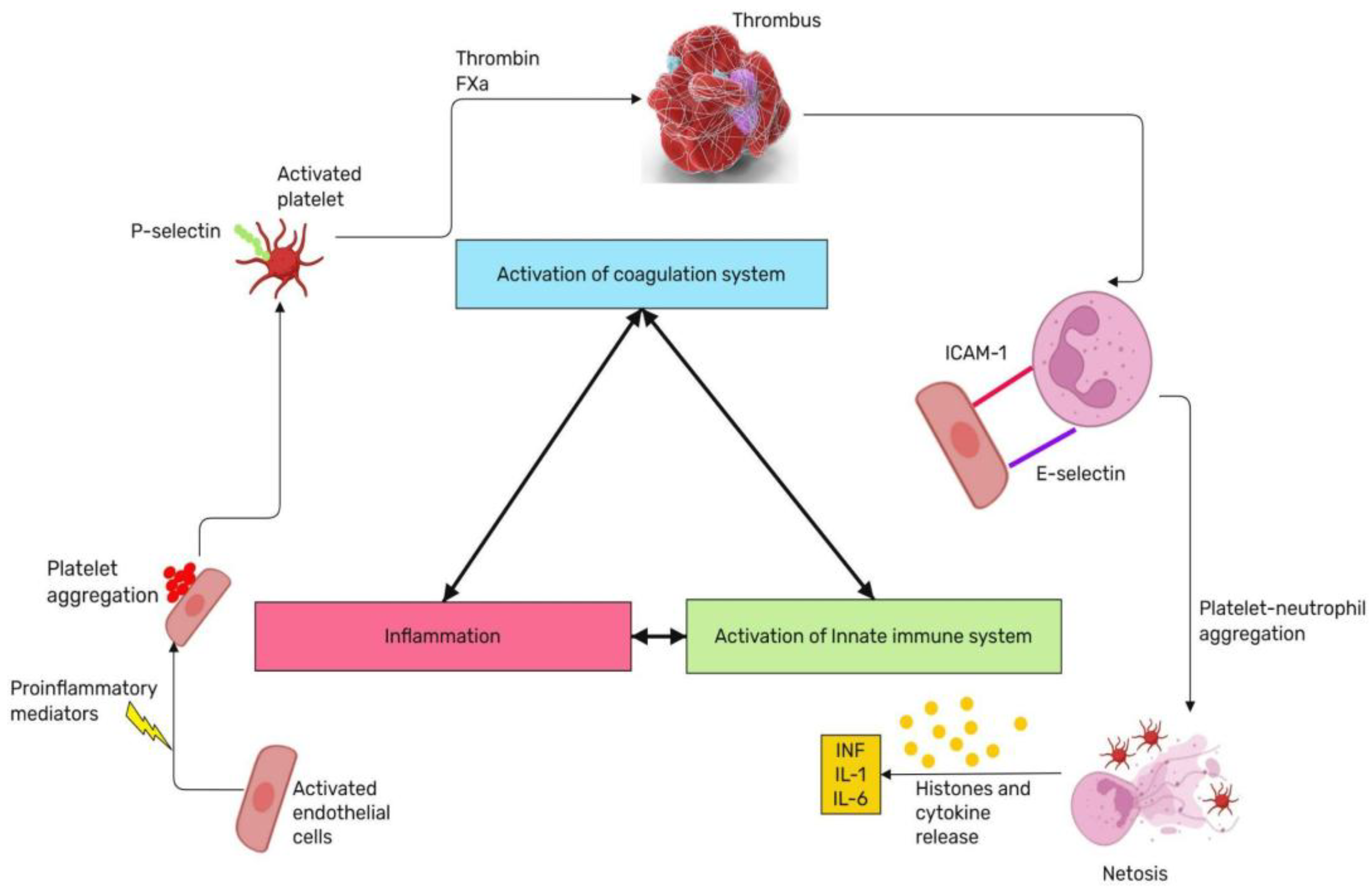 Preprints 148648 g003