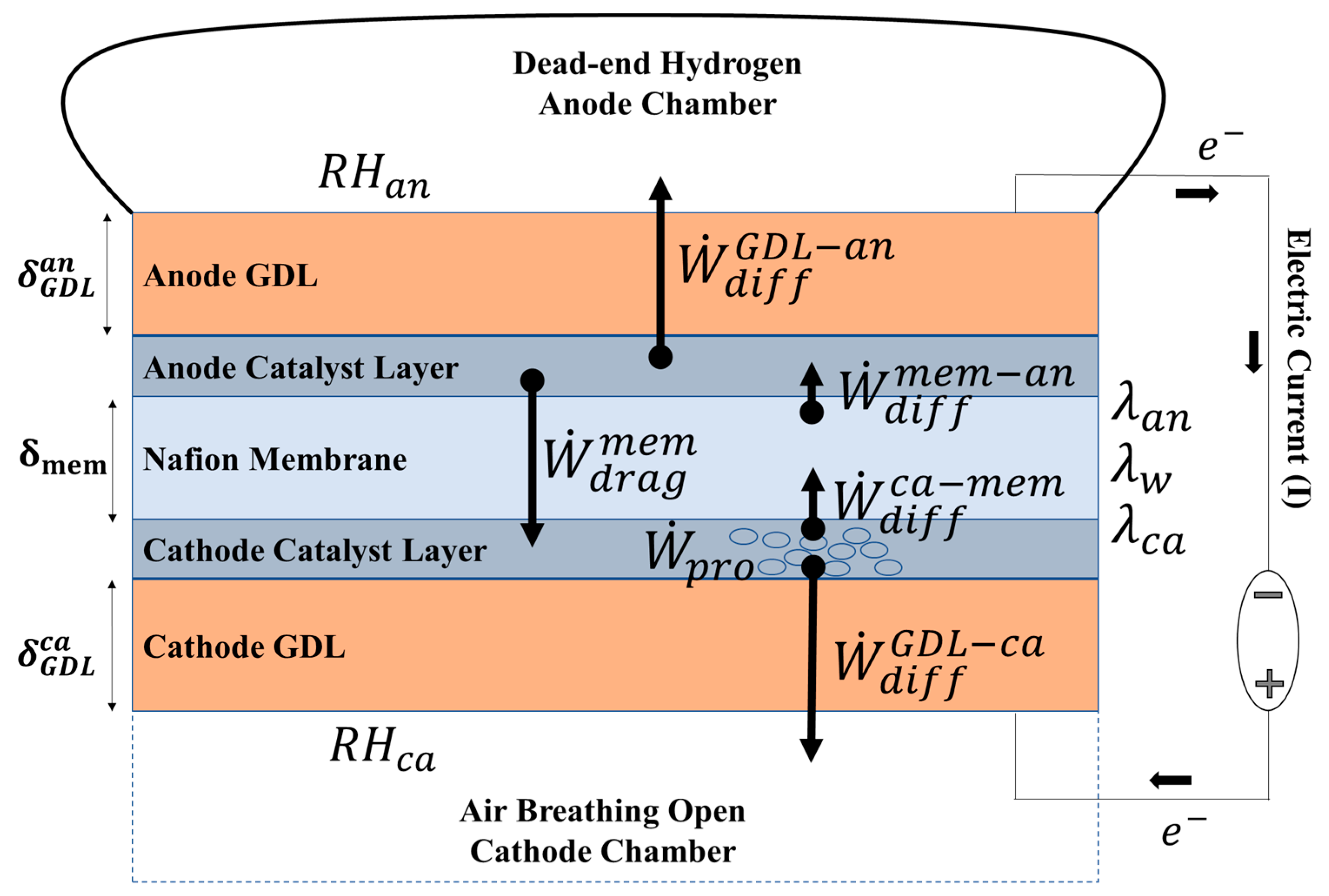 Preprints 89409 g001
