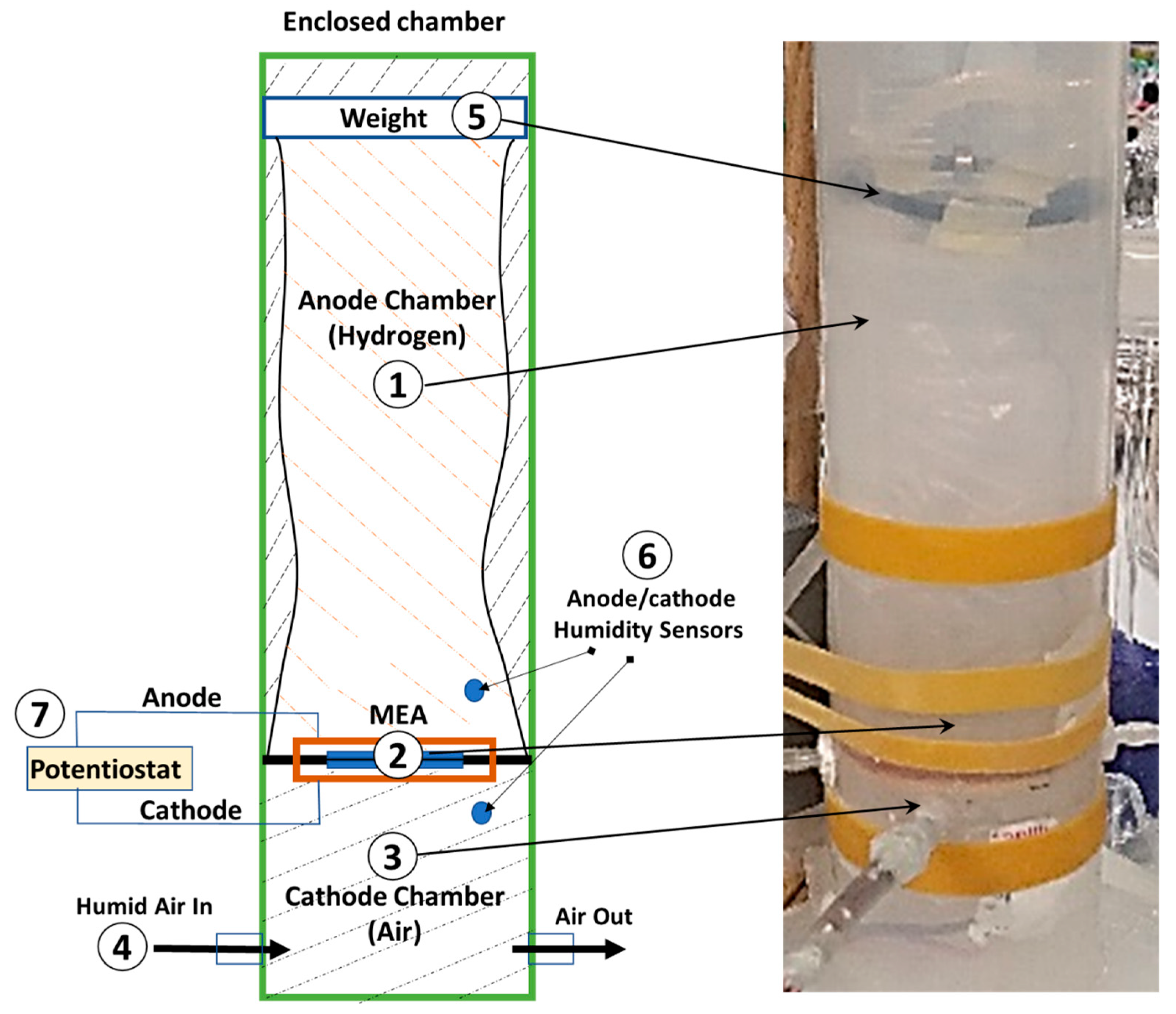 Preprints 89409 g002