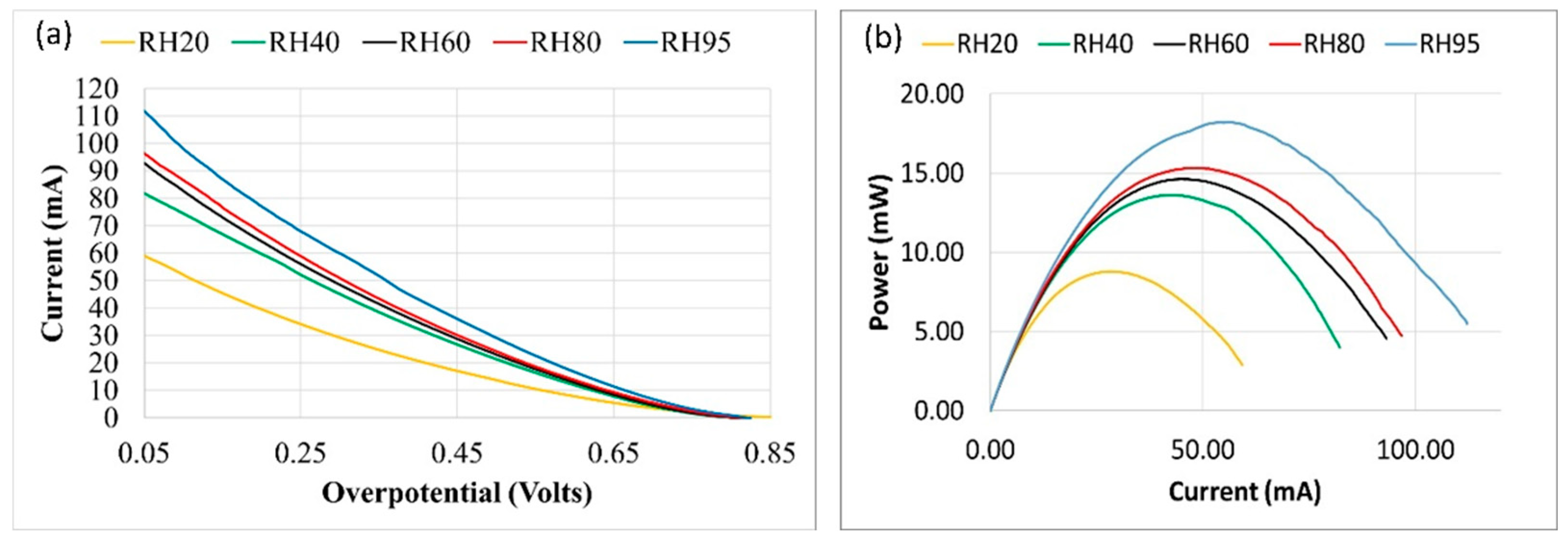 Preprints 89409 g003