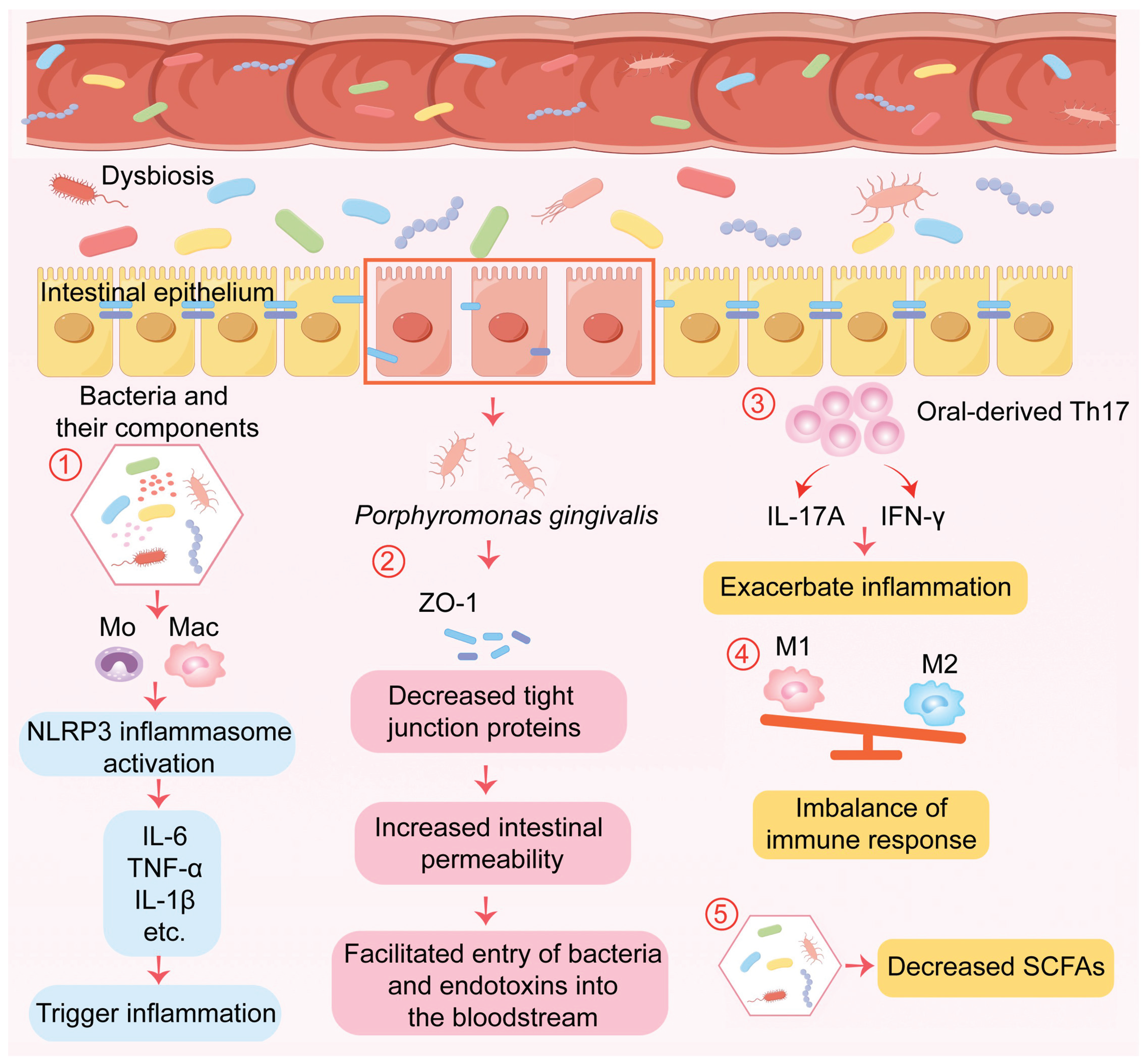 Preprints 195391 g001