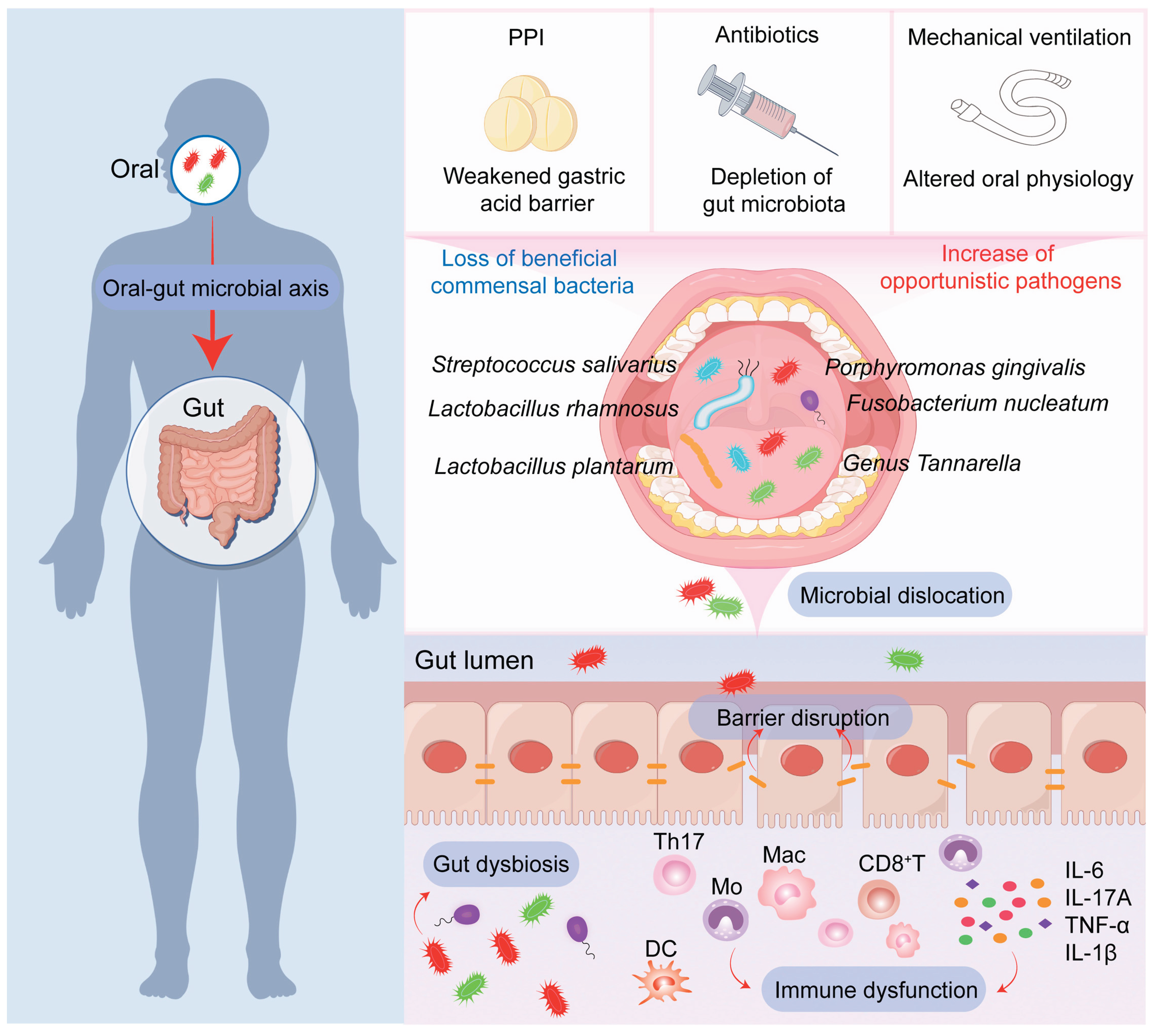 Preprints 195391 g002