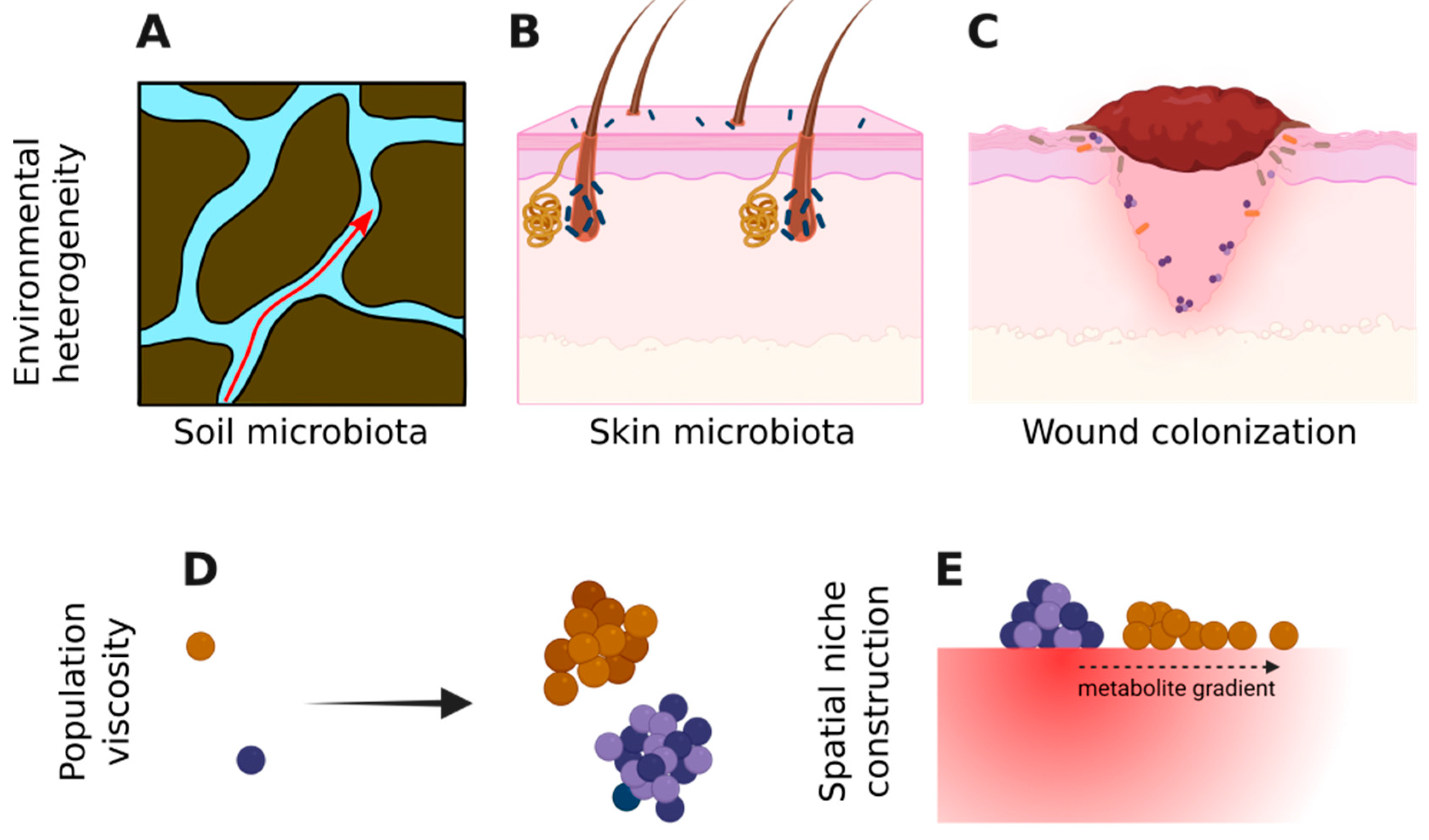 Preprints 174343 g002