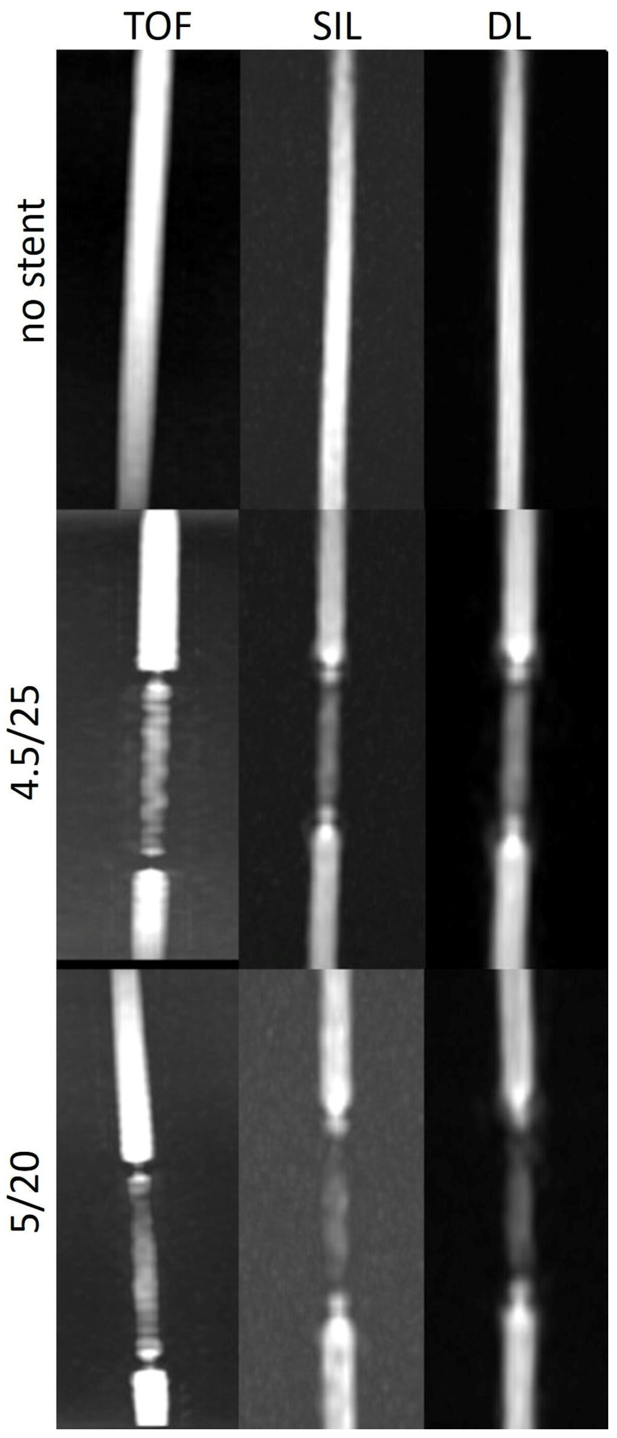 Preprints 97573 g004