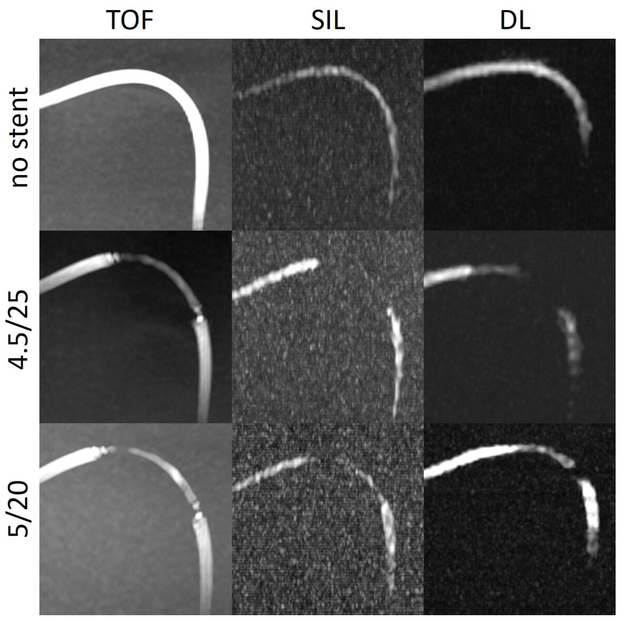 Preprints 97573 g006