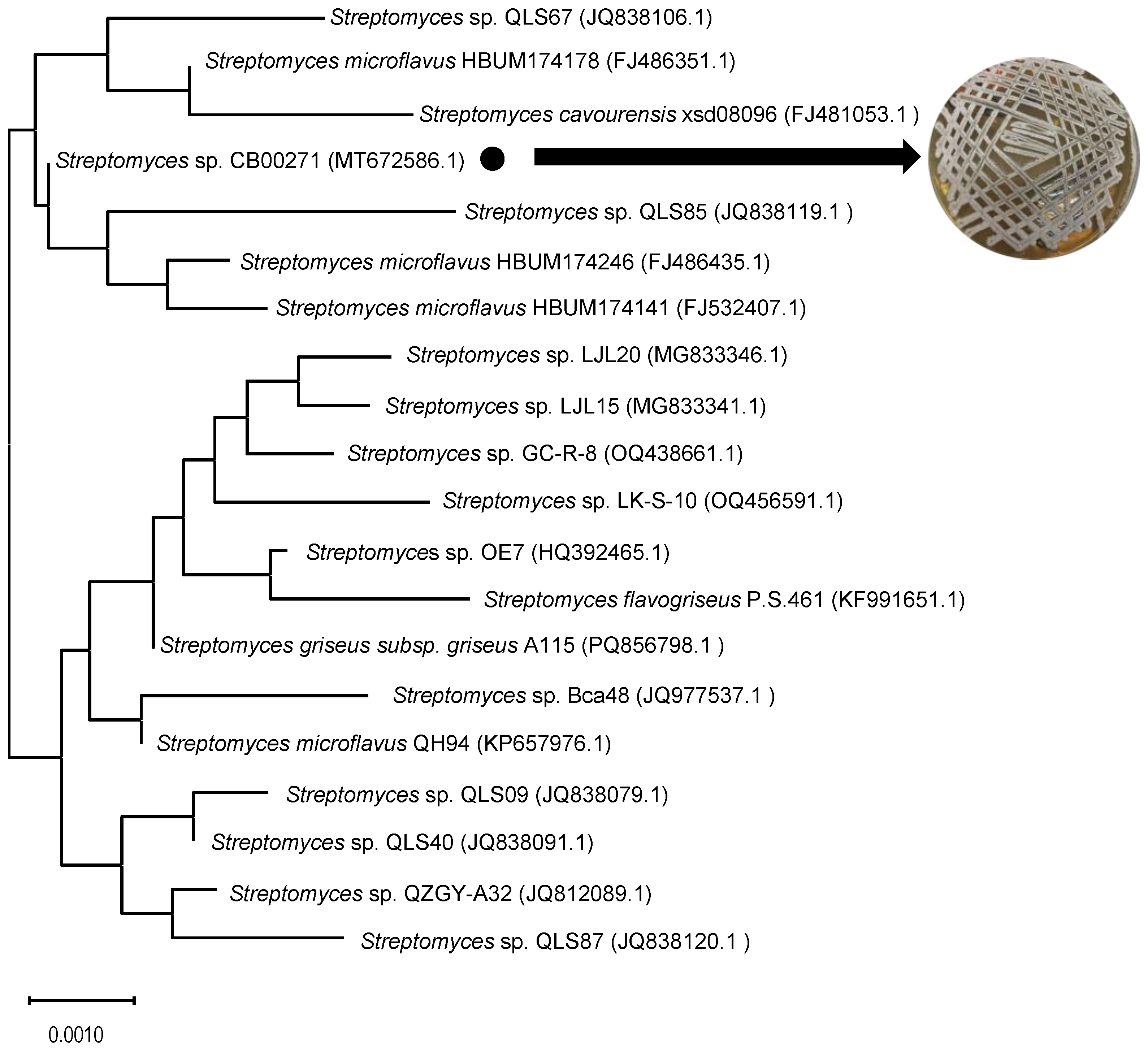 Preprints 192371 g002