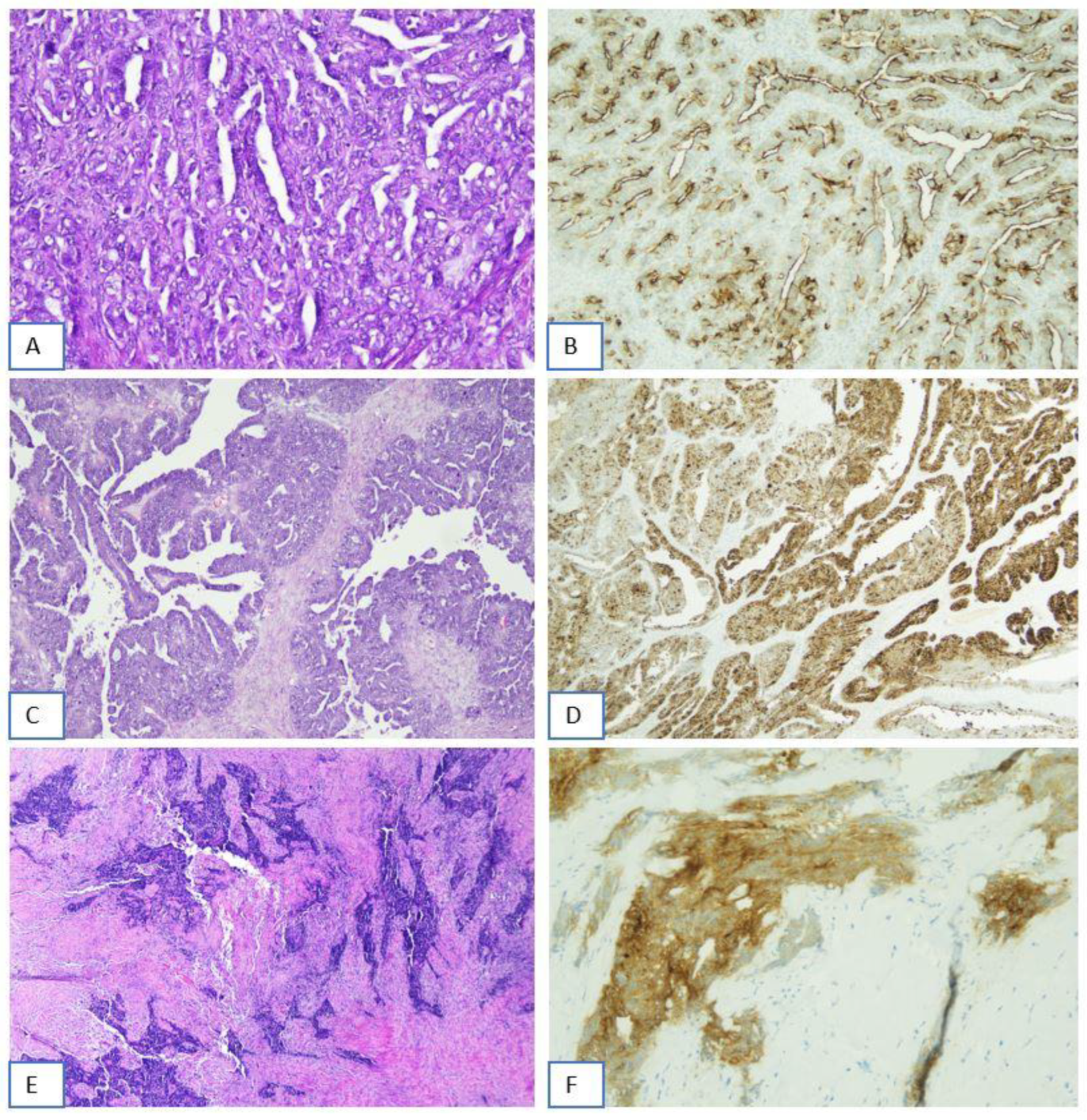 Preprints 165765 g002