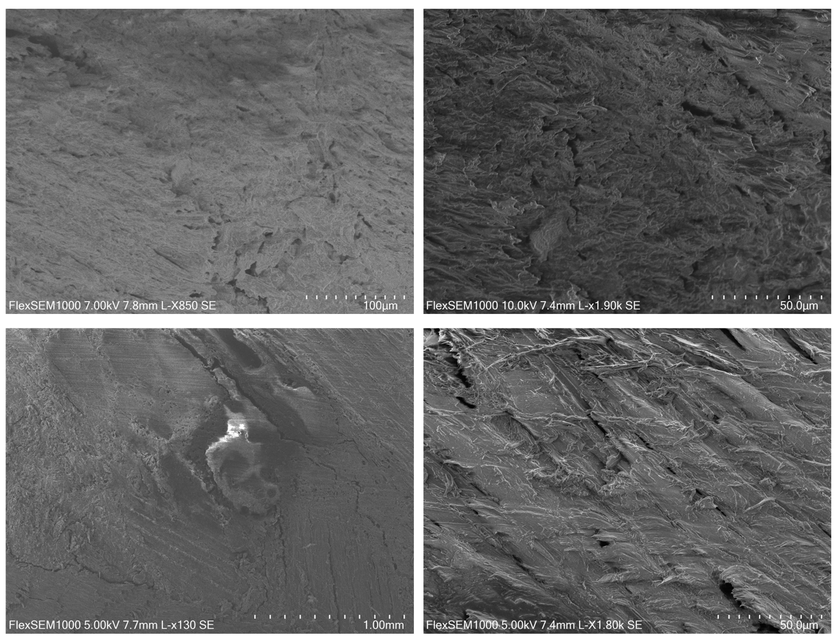 Preprints 79574 g006