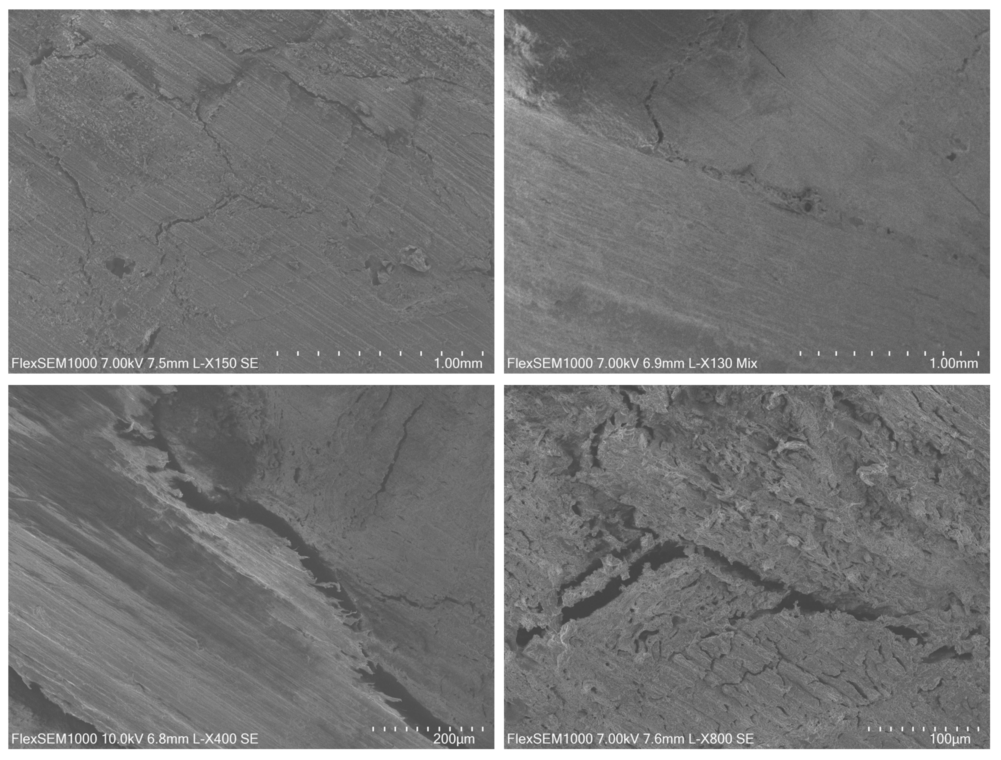 Preprints 79574 g007