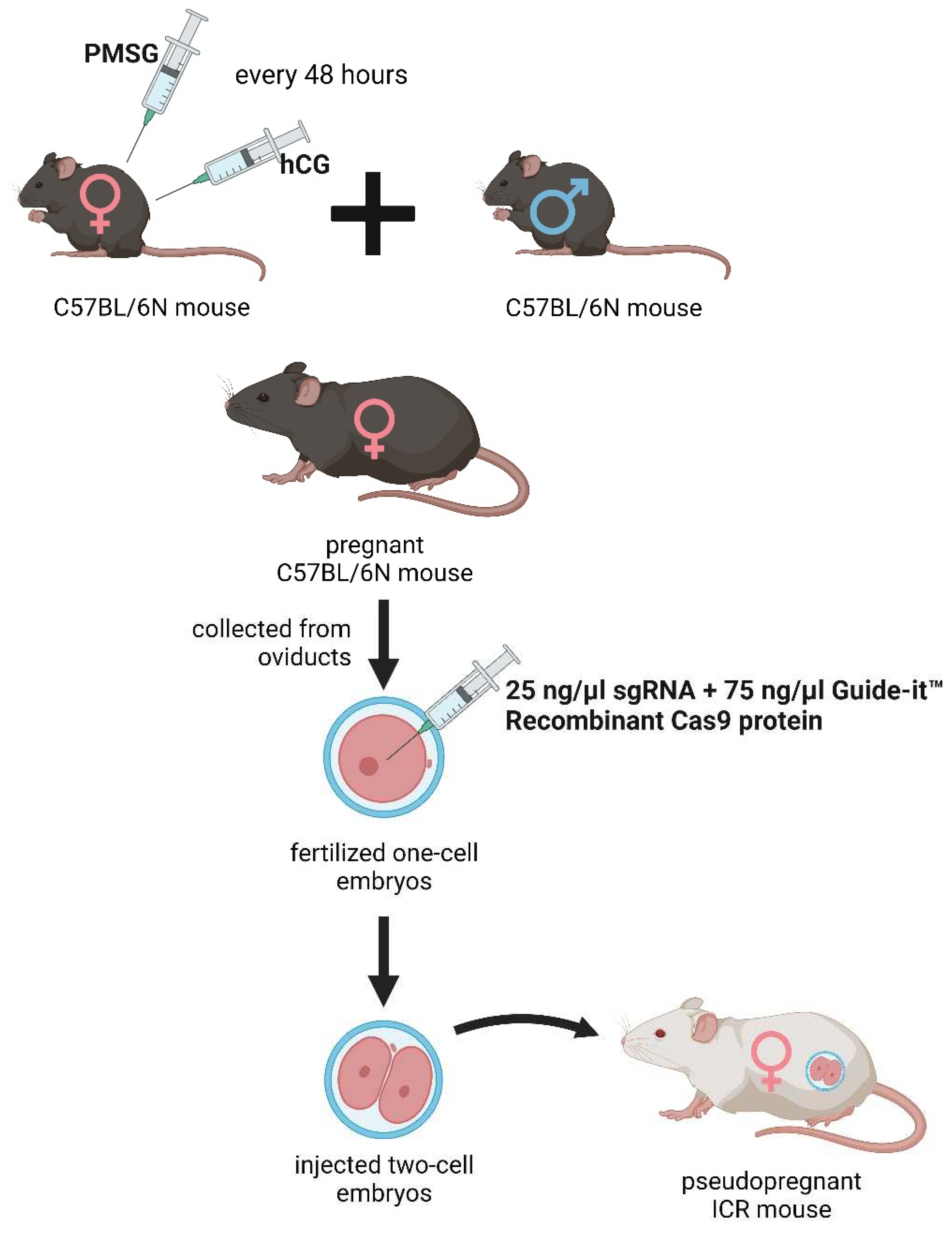 Preprints 85109 g001