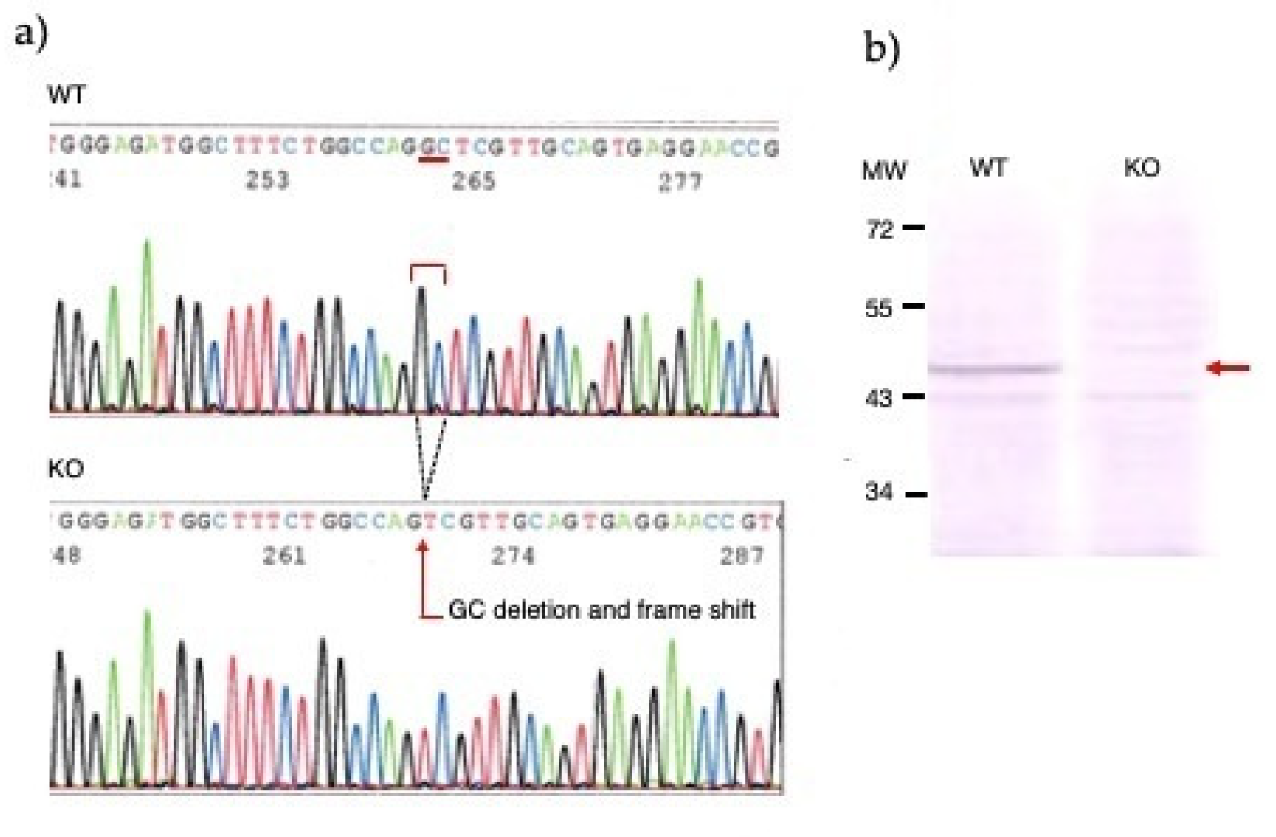 Preprints 85109 g002