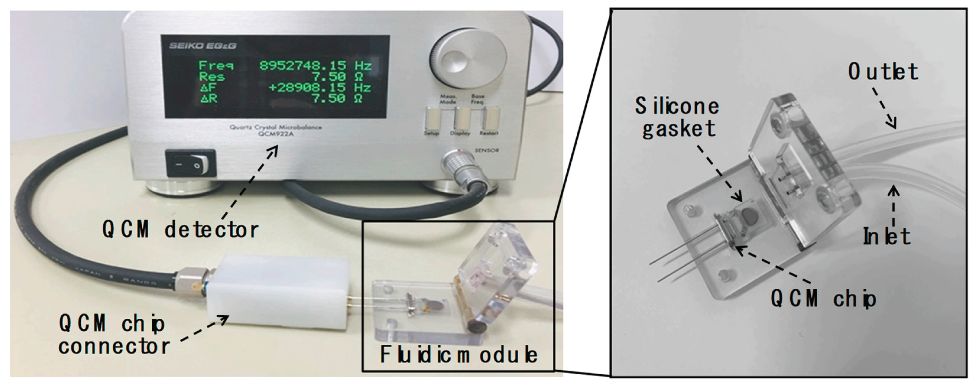 Preprints 176779 g001