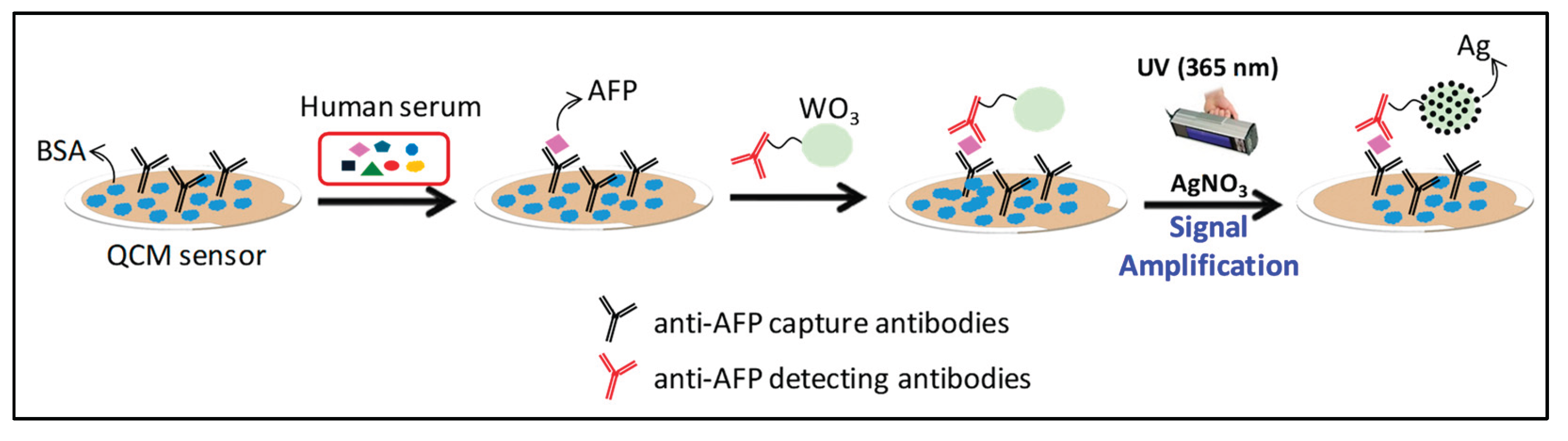 Preprints 176779 sch001