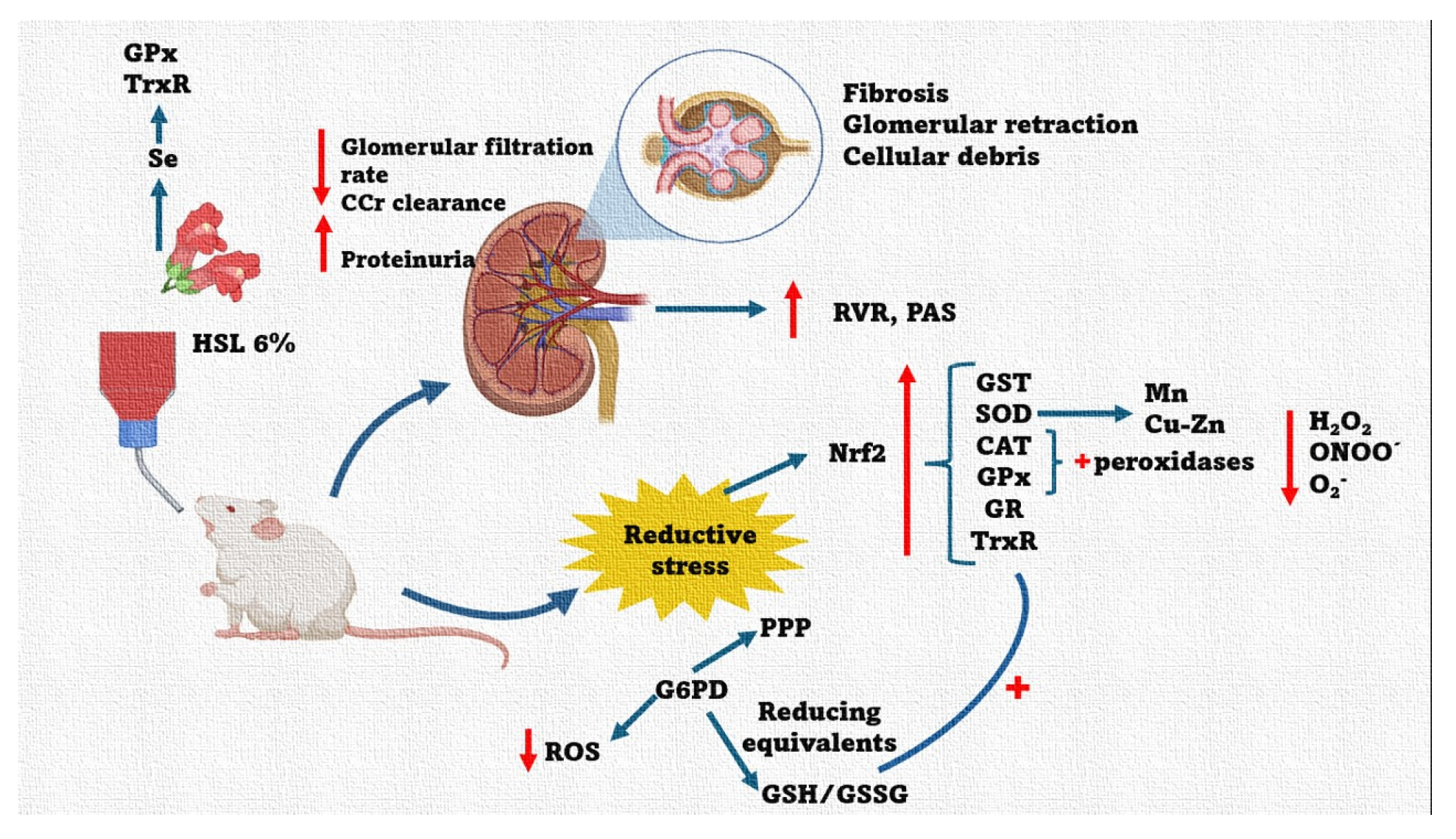 Preprints 165435 g010