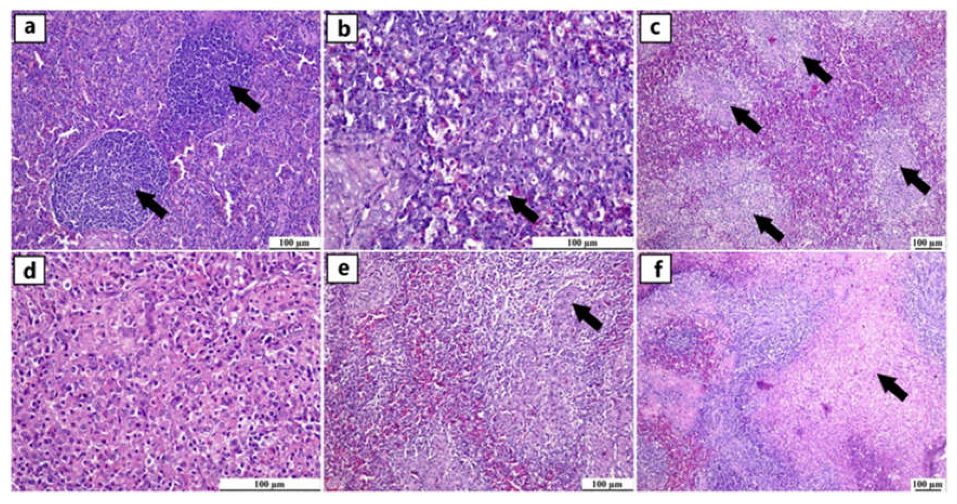 Preprints 139920 g003
