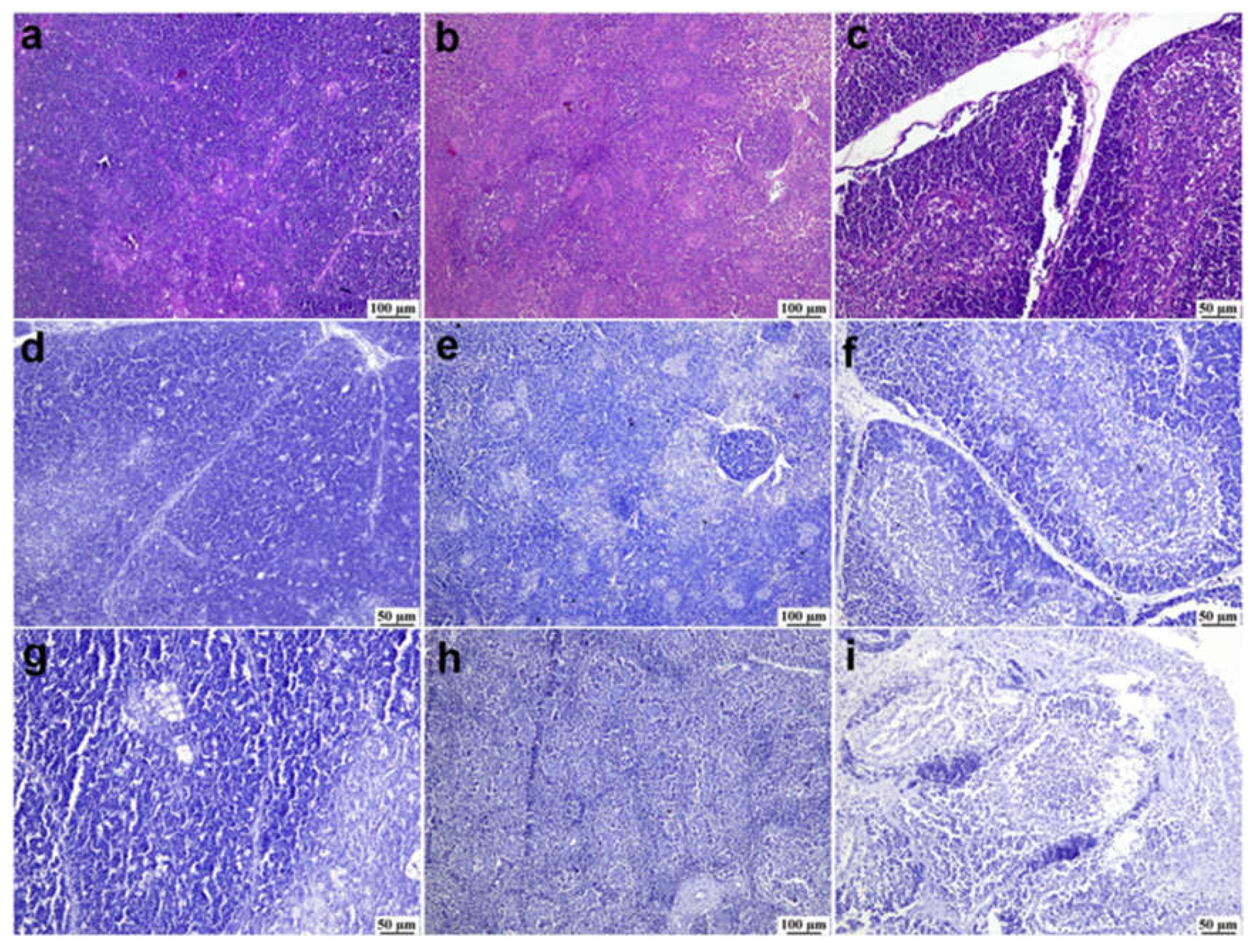 Preprints 139920 g006