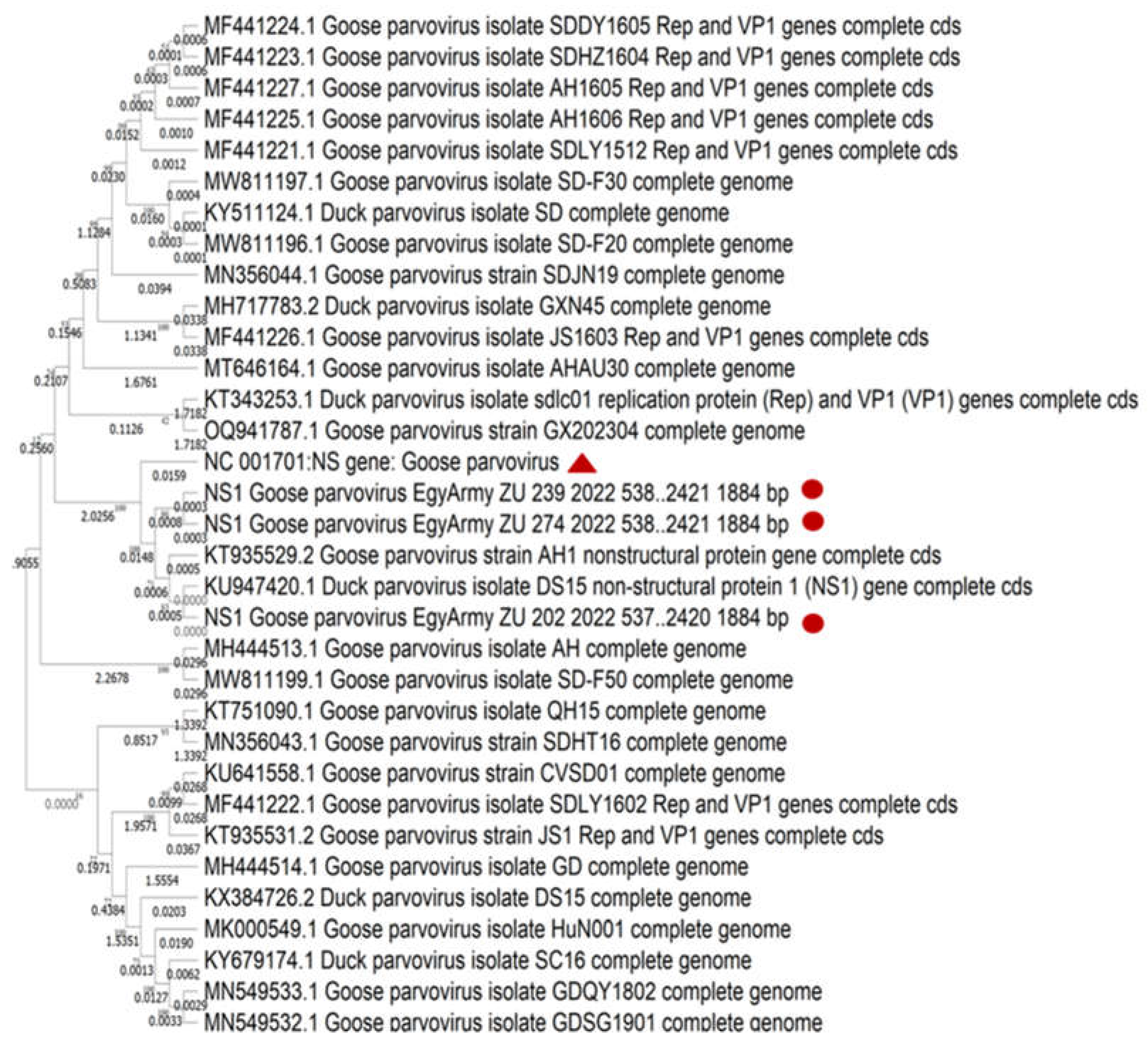 Preprints 139920 g010