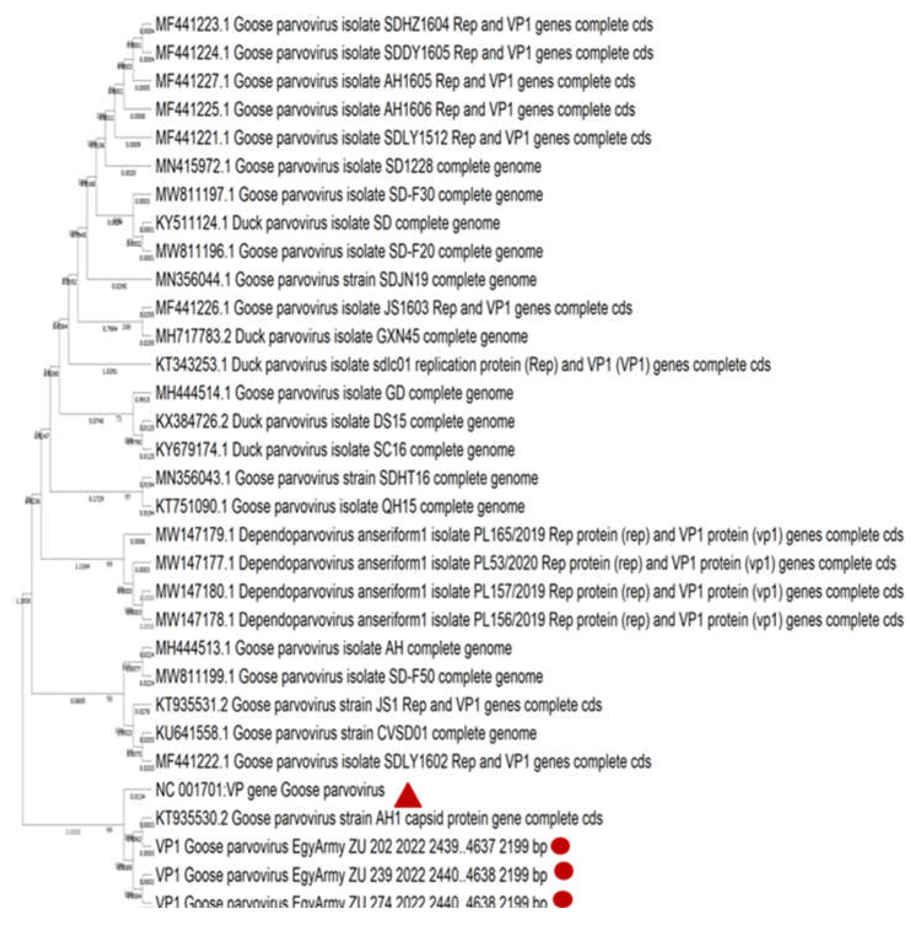 Preprints 139920 g011