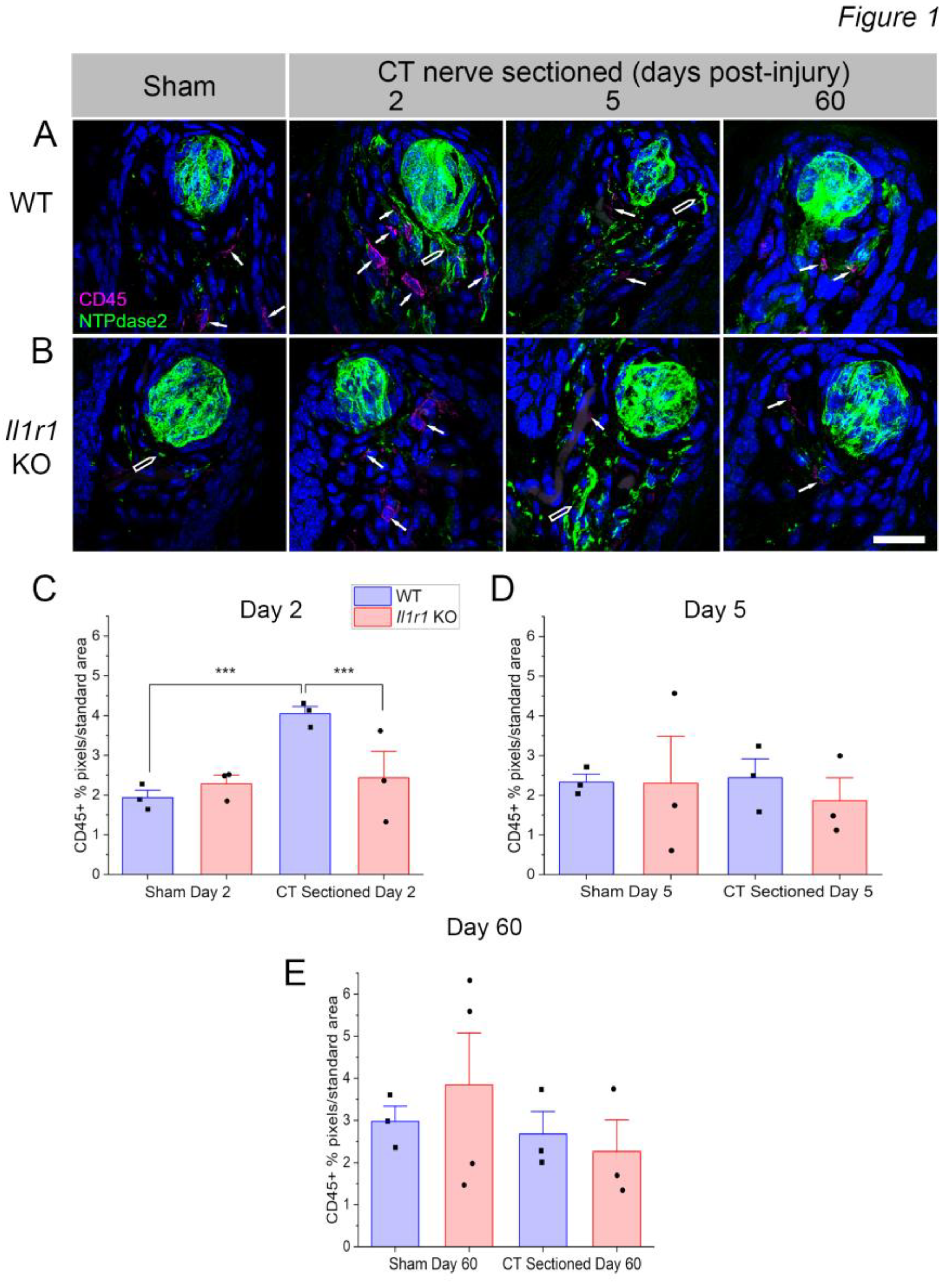 Preprints 192012 g001