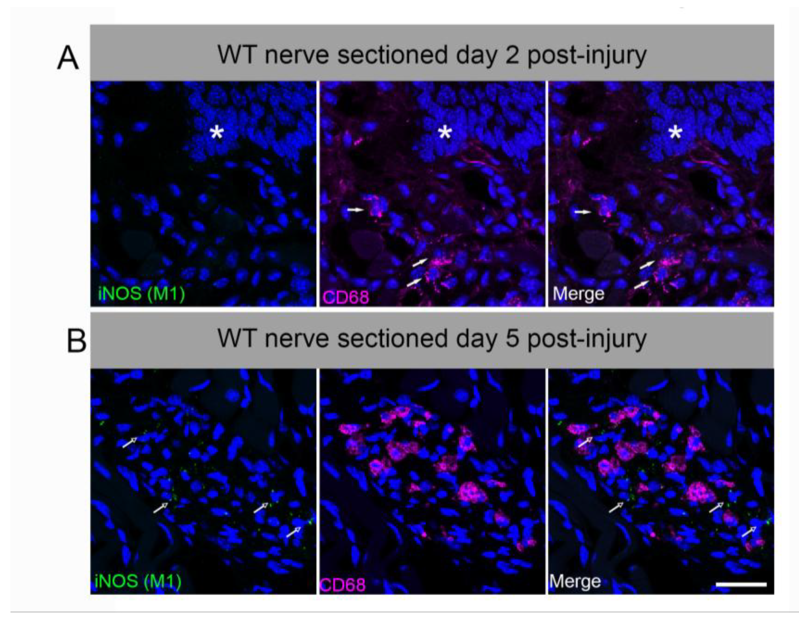 Preprints 192012 g0a1