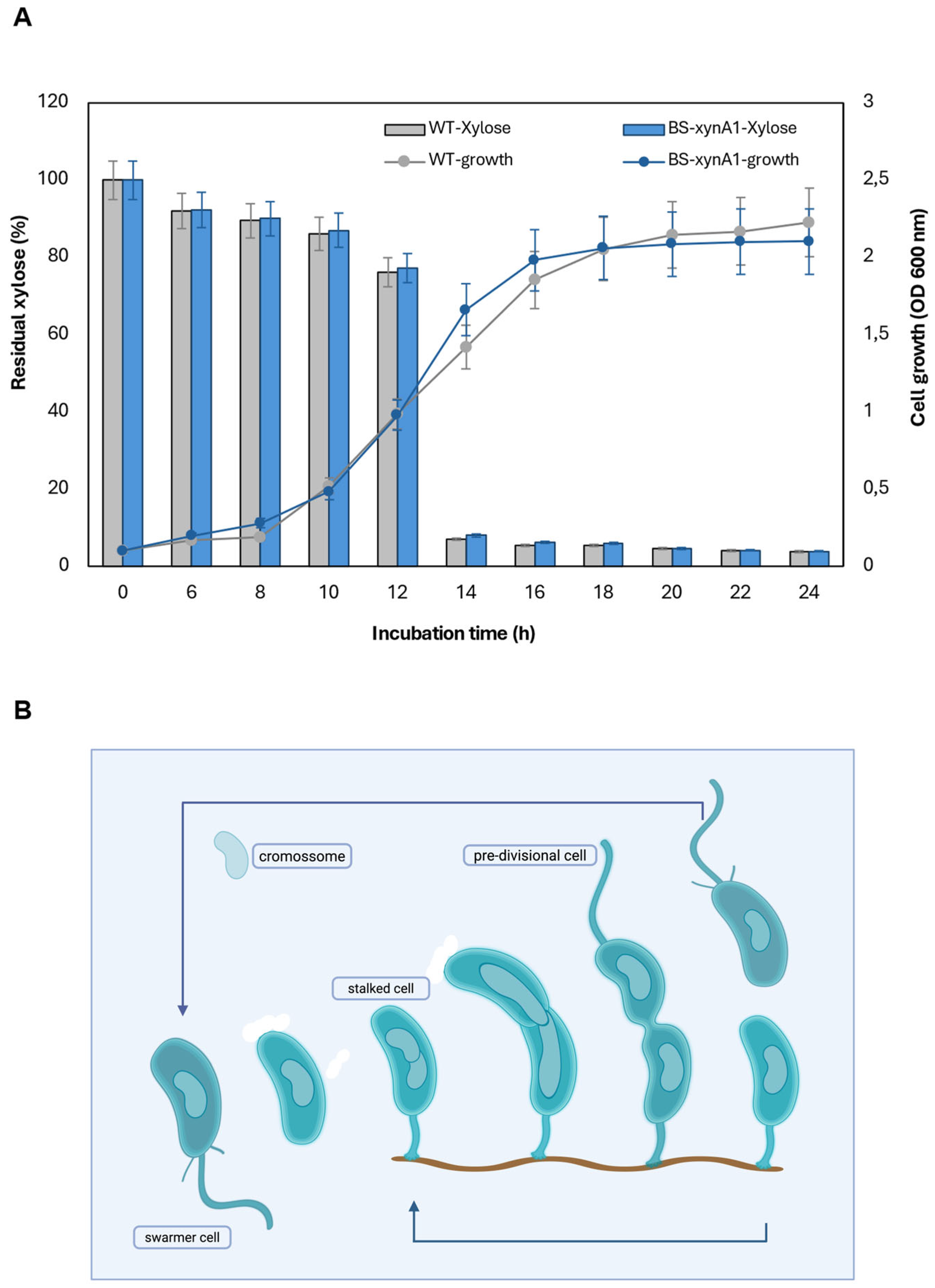 Preprints 177162 g002