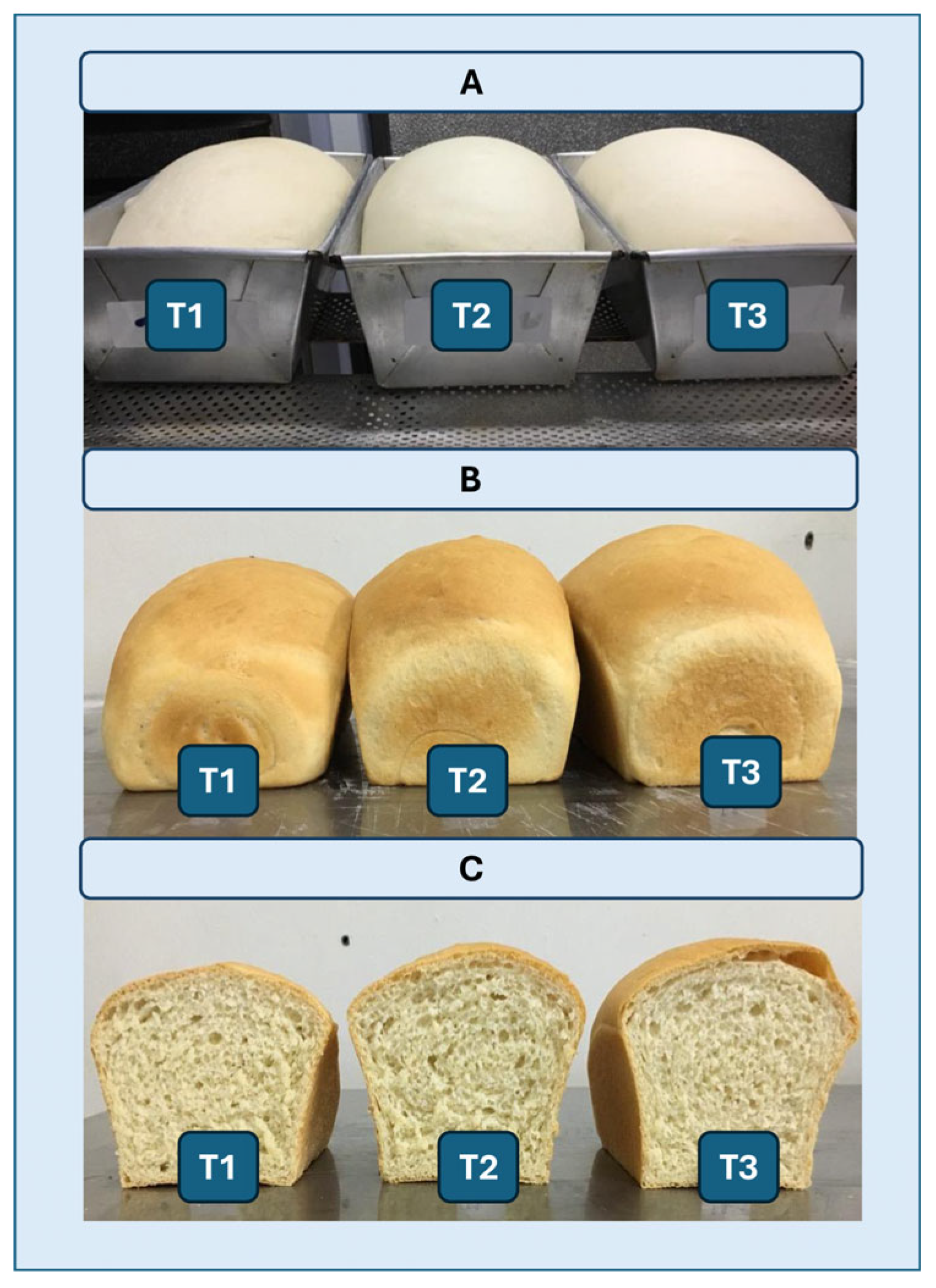 Preprints 177162 g009