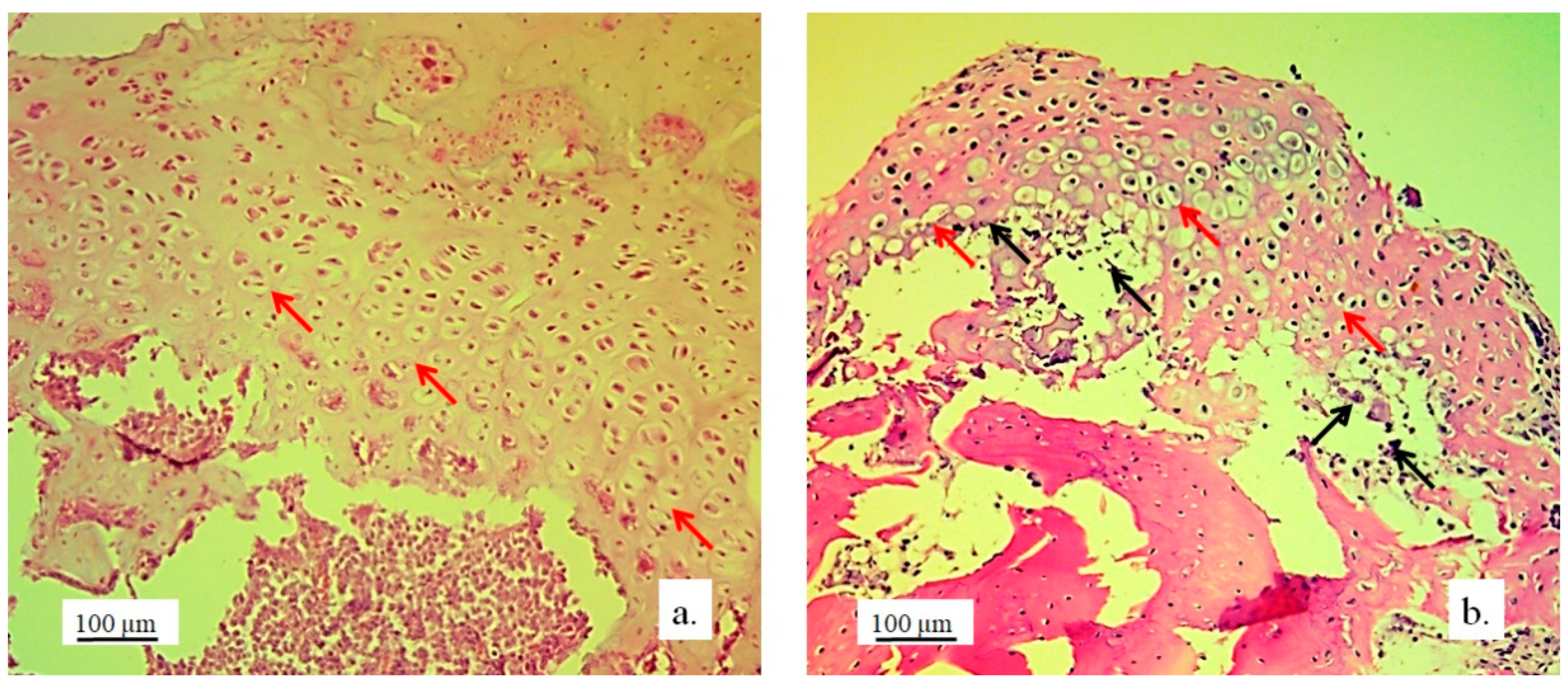 Preprints 151844 g005