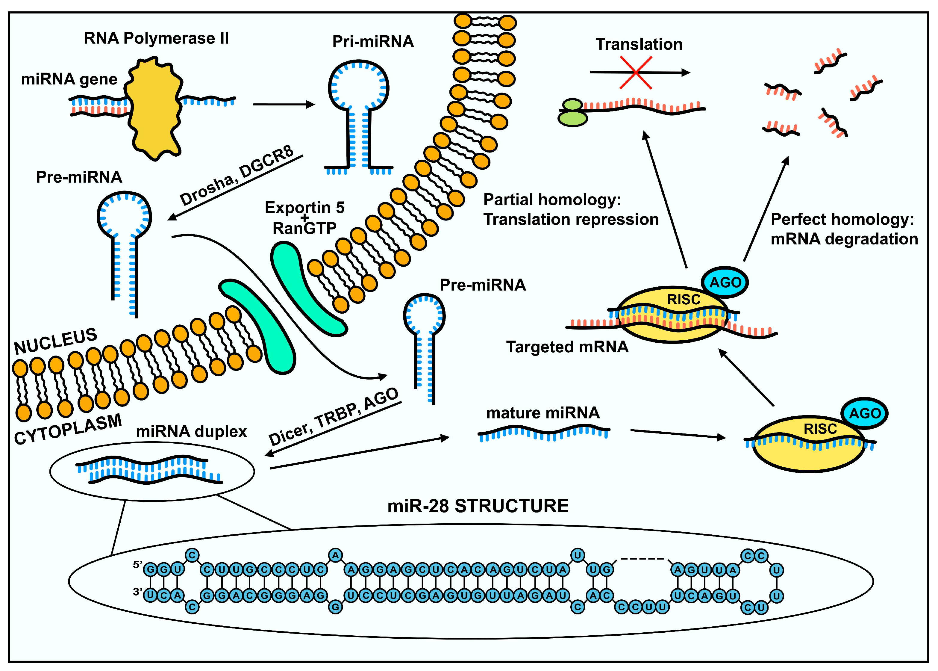 Preprints 155356 g001