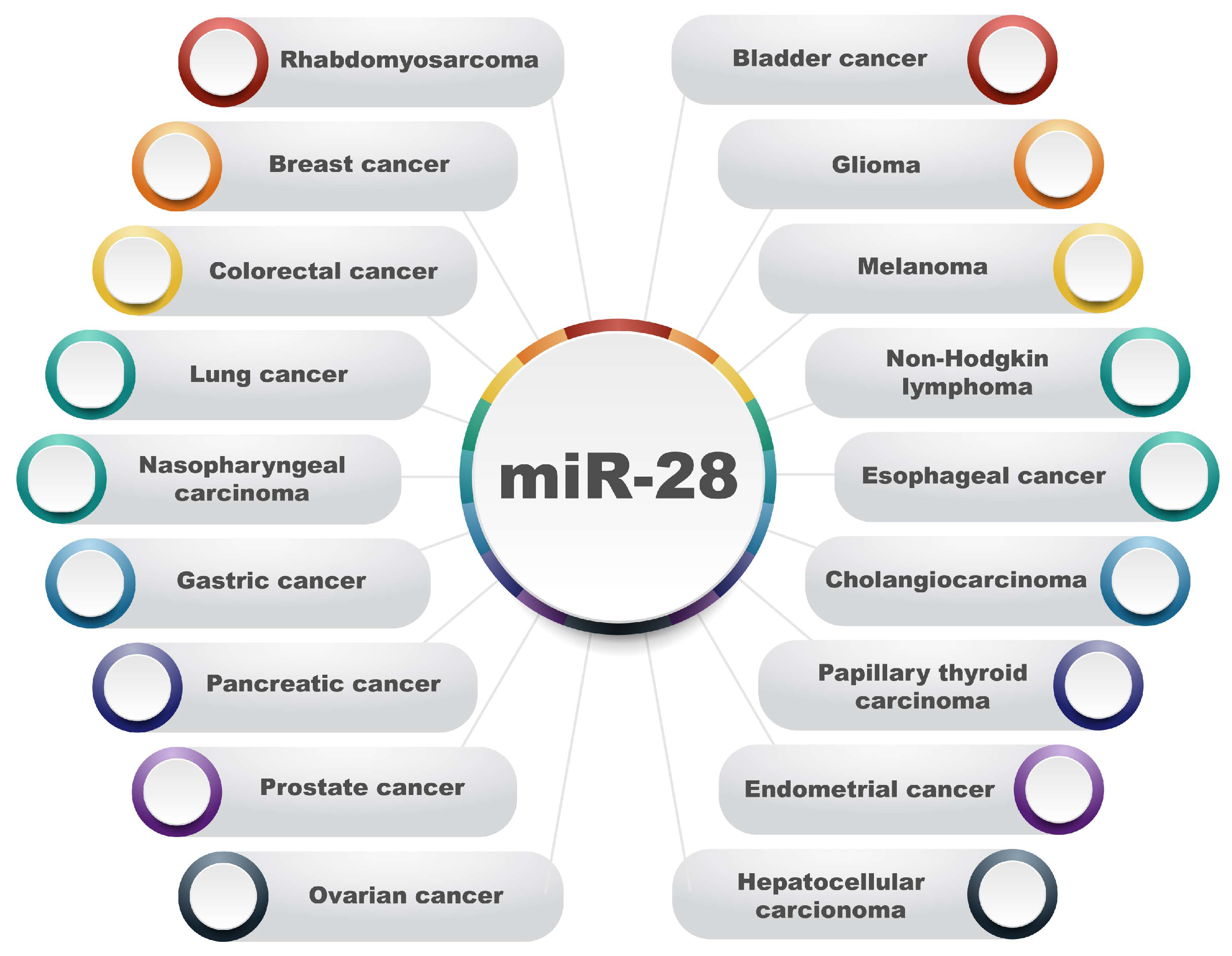 Preprints 155356 g003