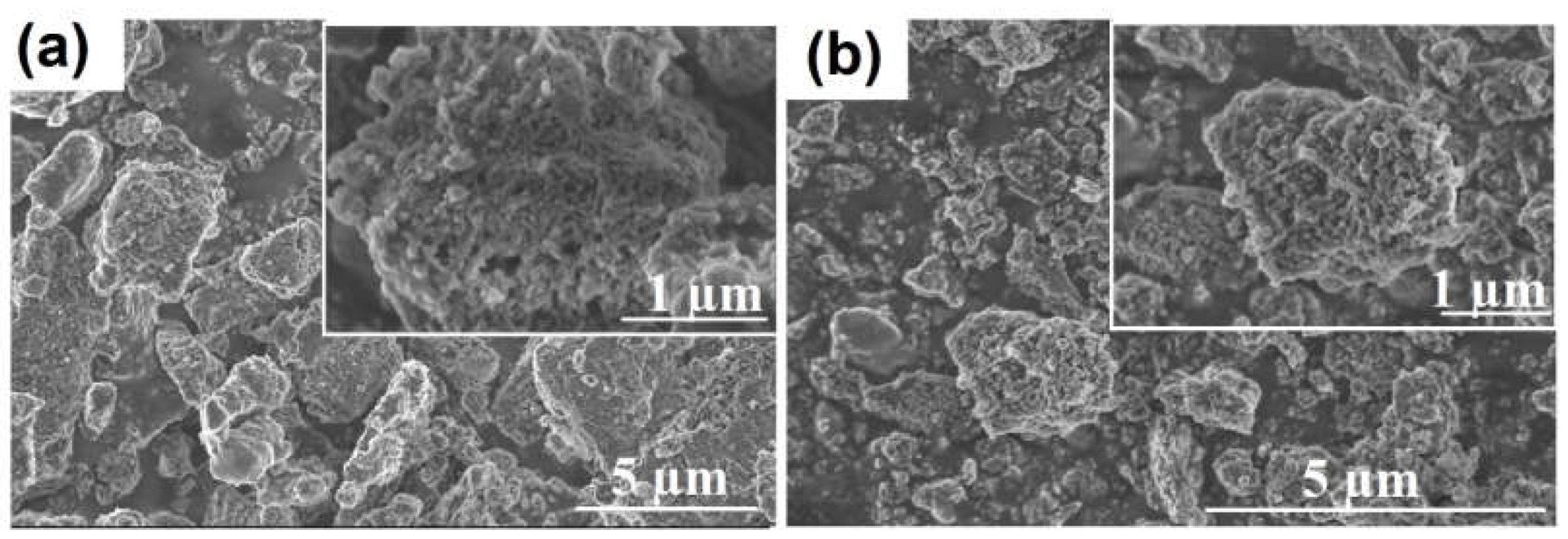 Preprints 144027 g002