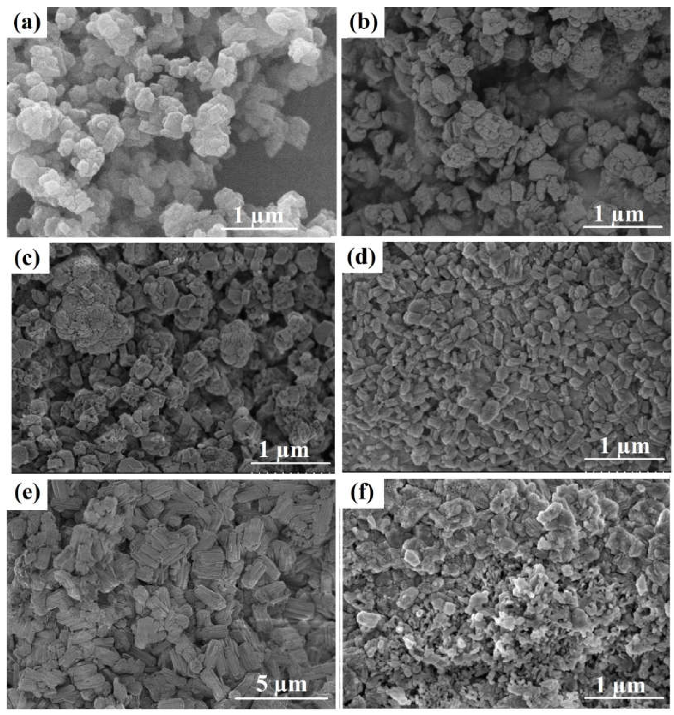 Preprints 144027 g003