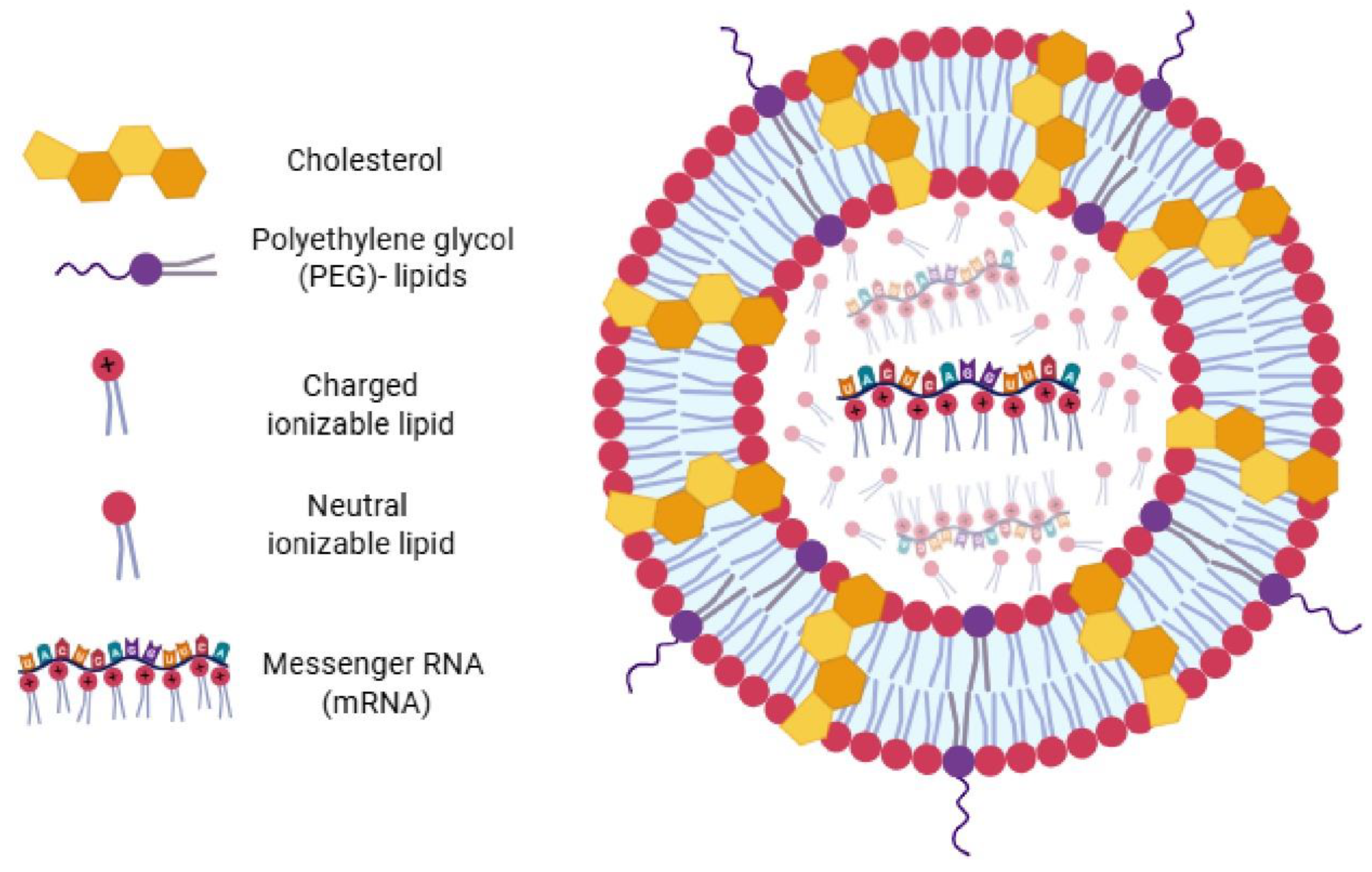 Preprints 173758 g004