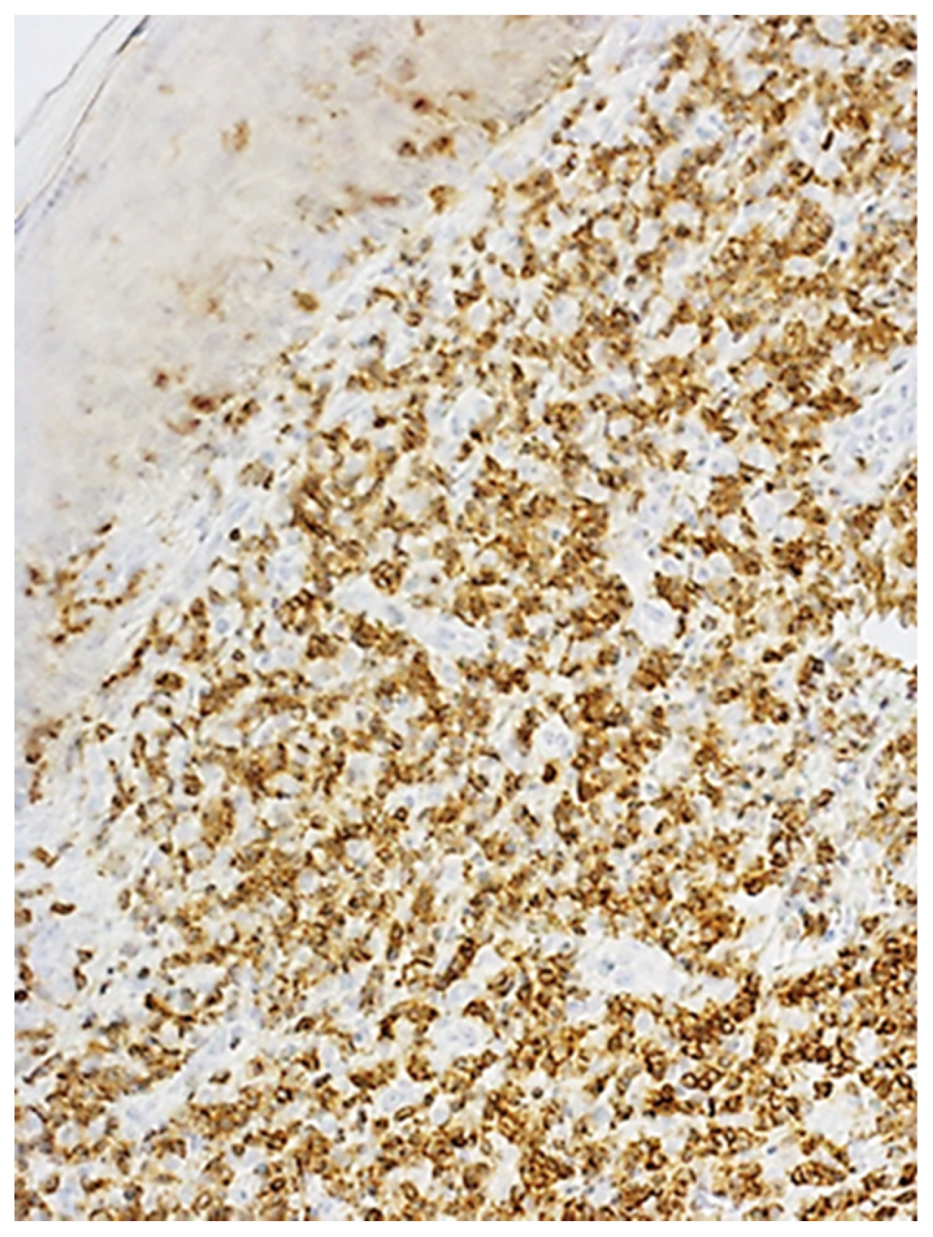 Preprints 201969 g002