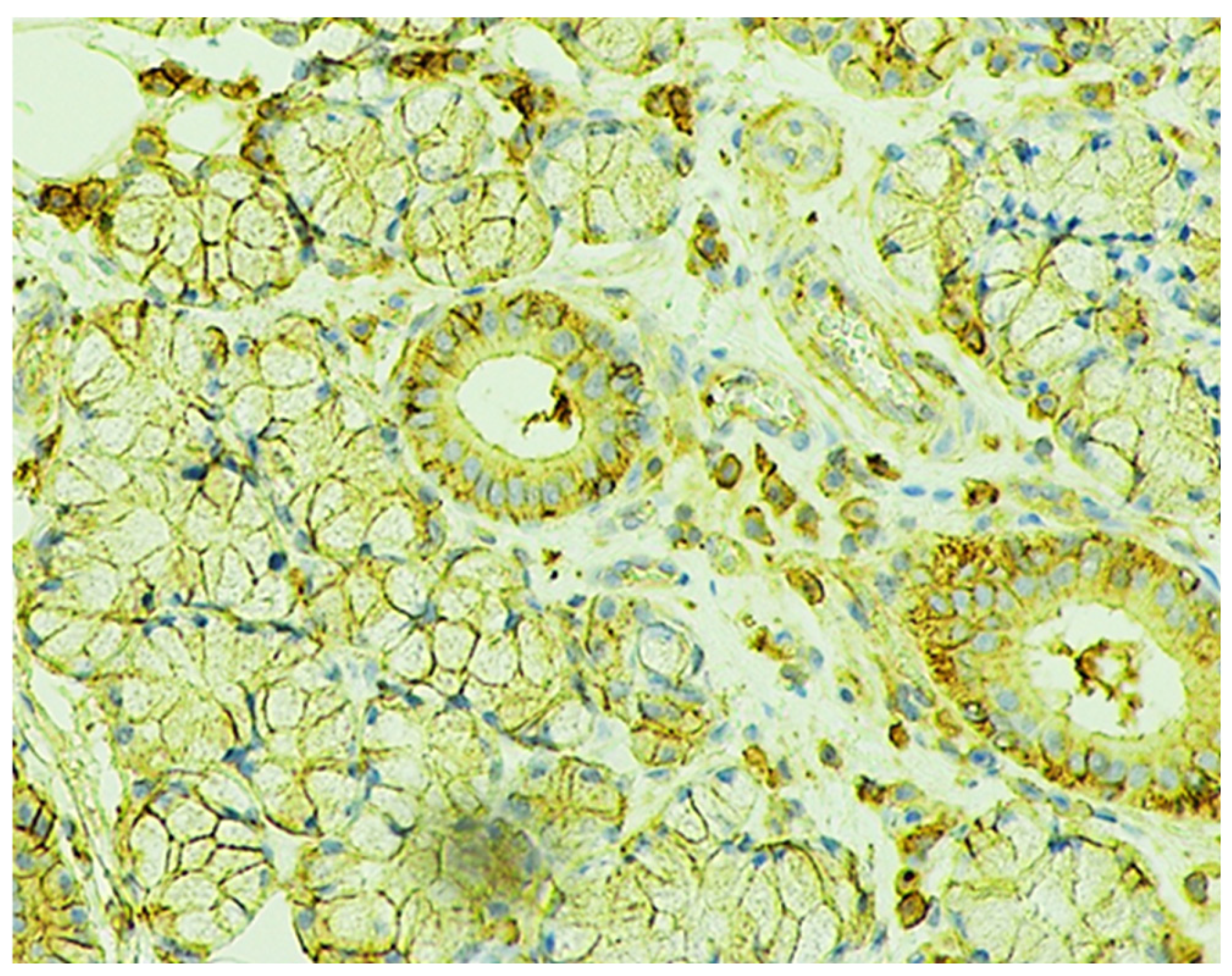 Preprints 201969 g006