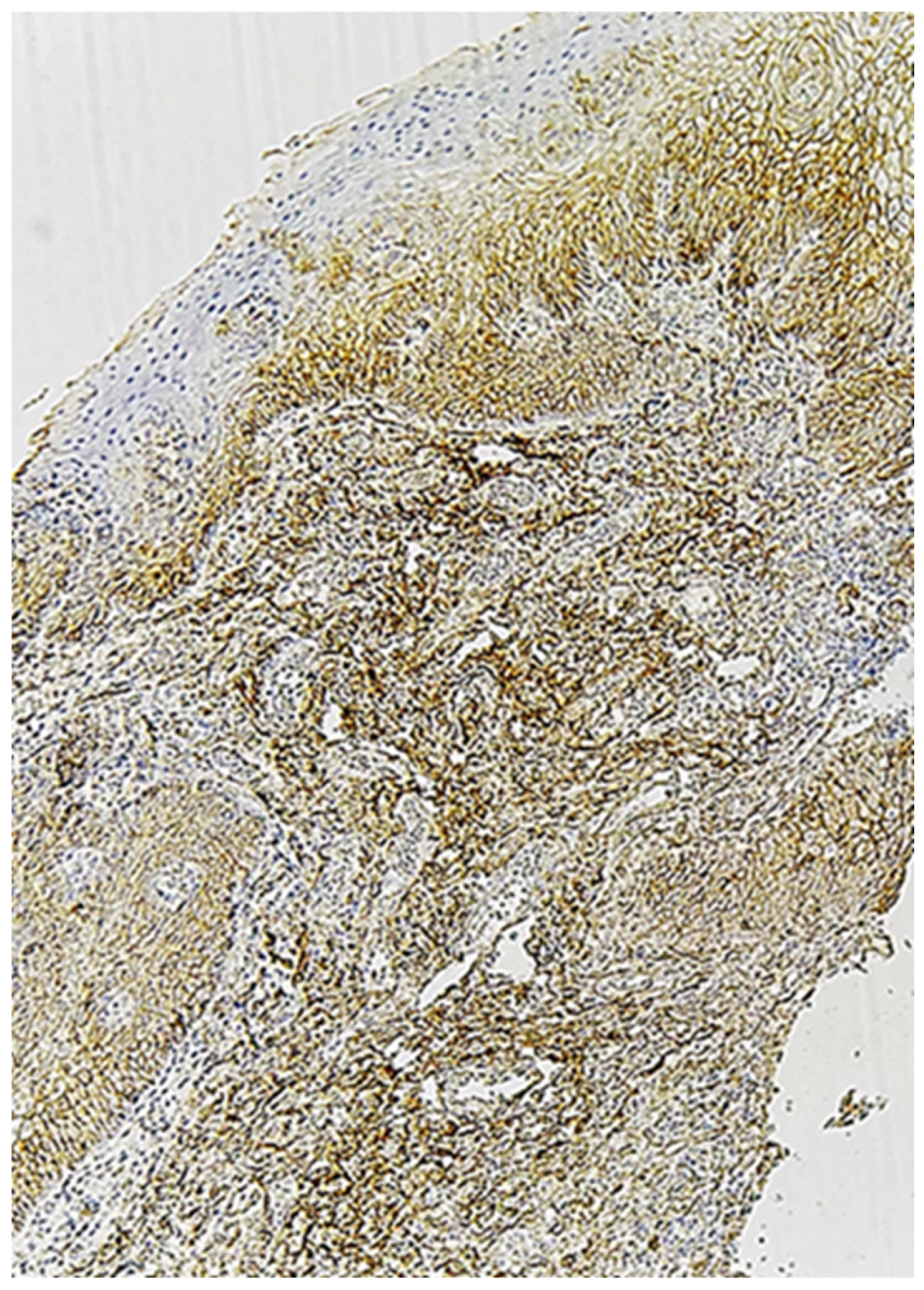Preprints 201969 g009