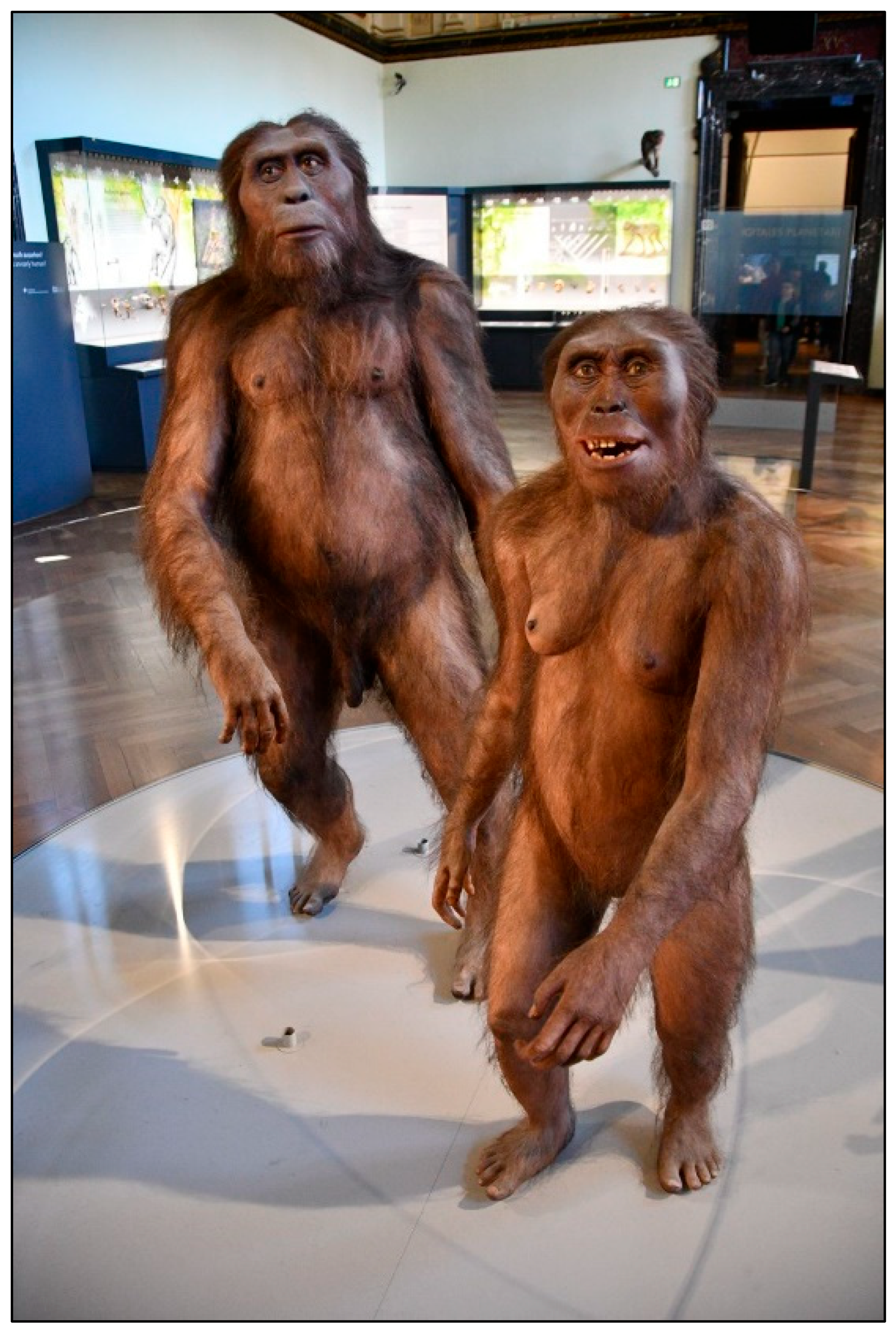 Preprints 158702 g002