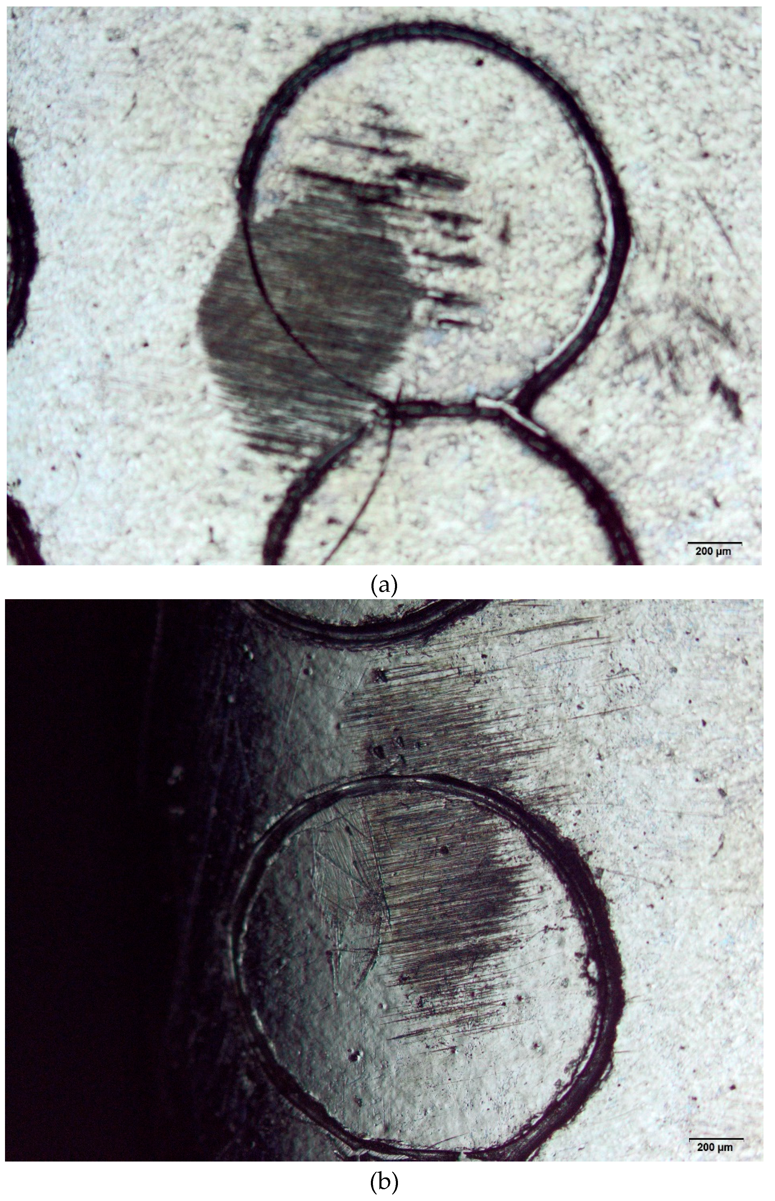 Preprints 167568 g002a
