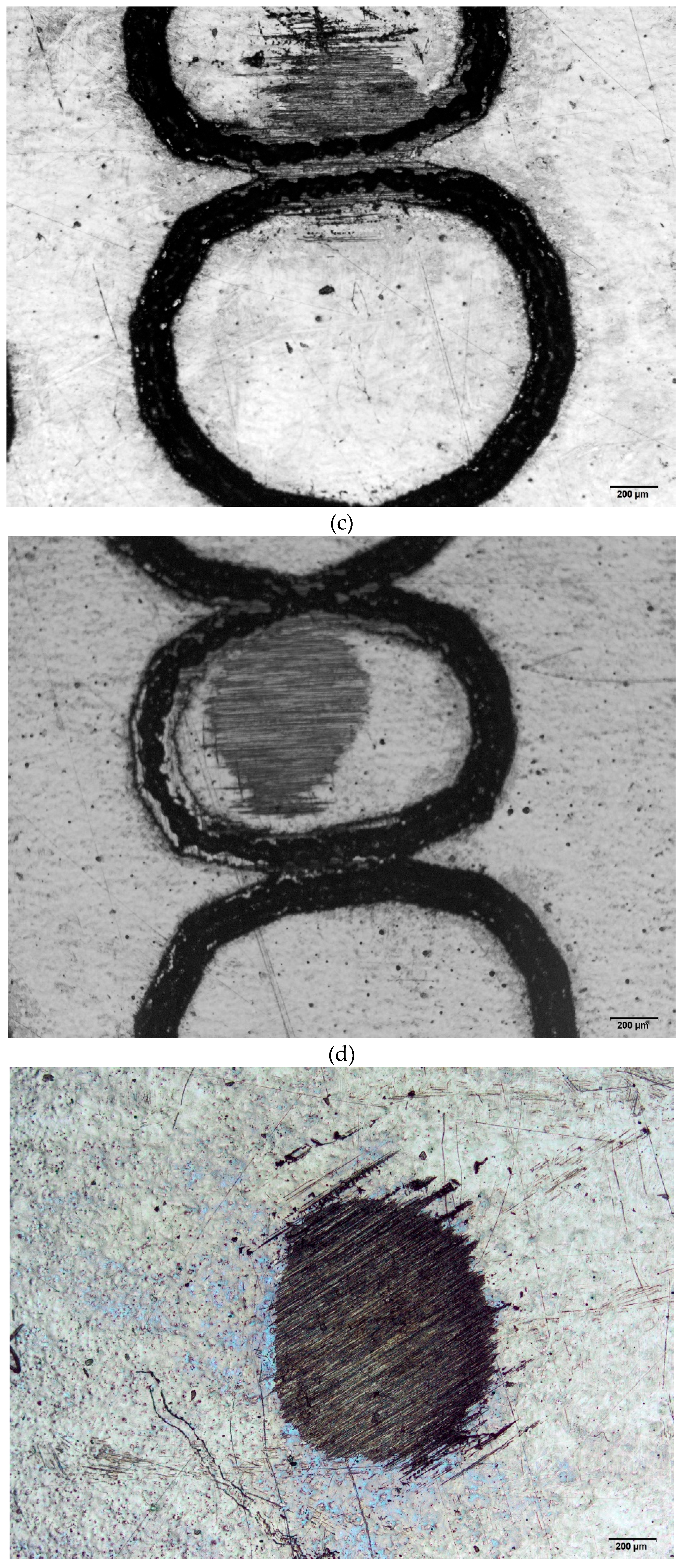 Preprints 167568 g002b