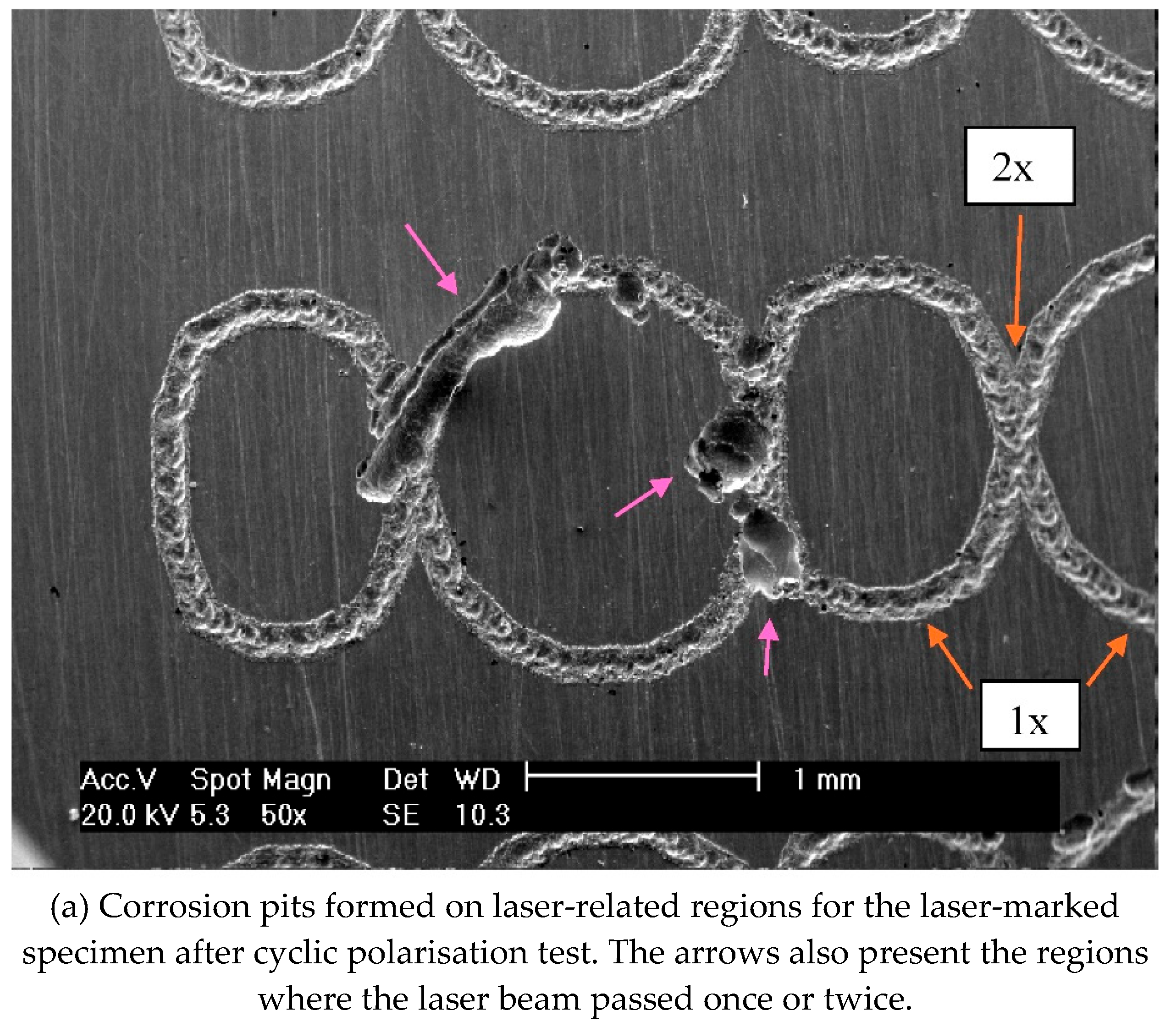 Preprints 167568 g008a
