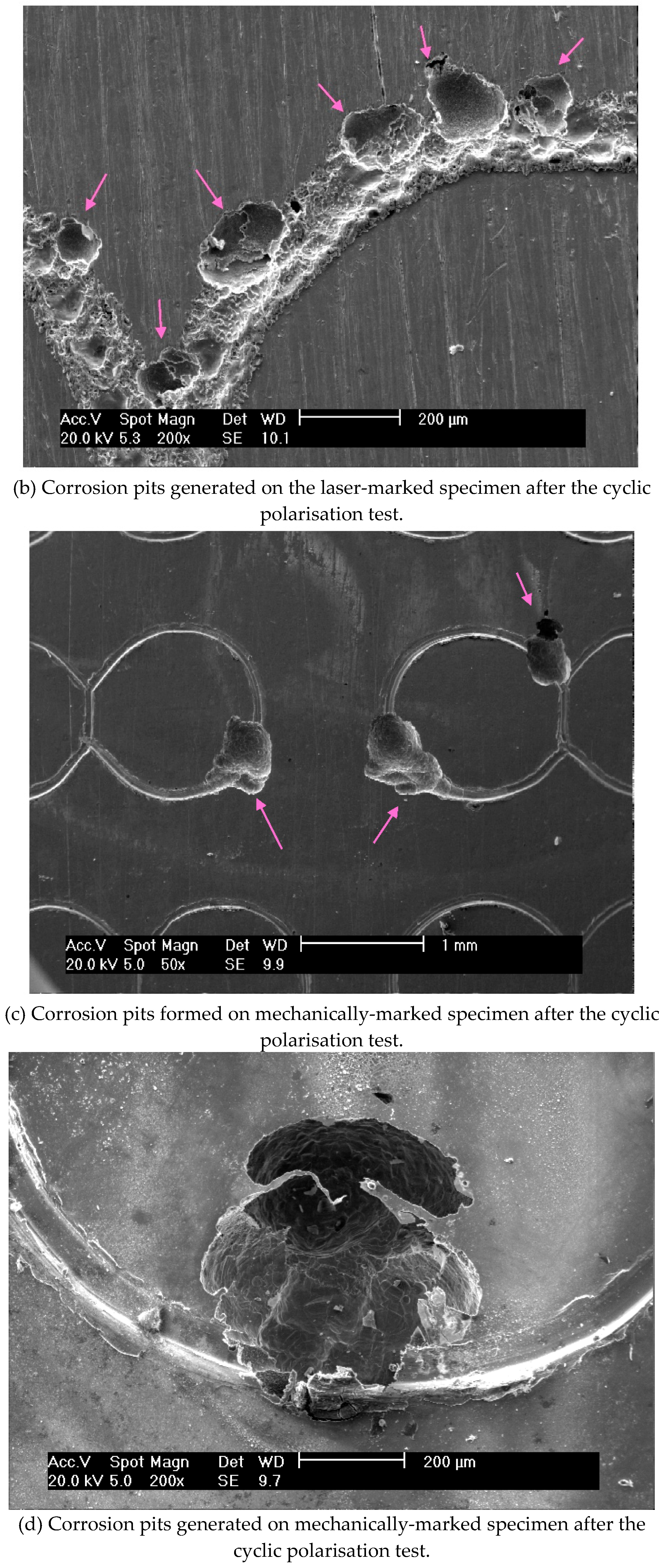 Preprints 167568 g008b