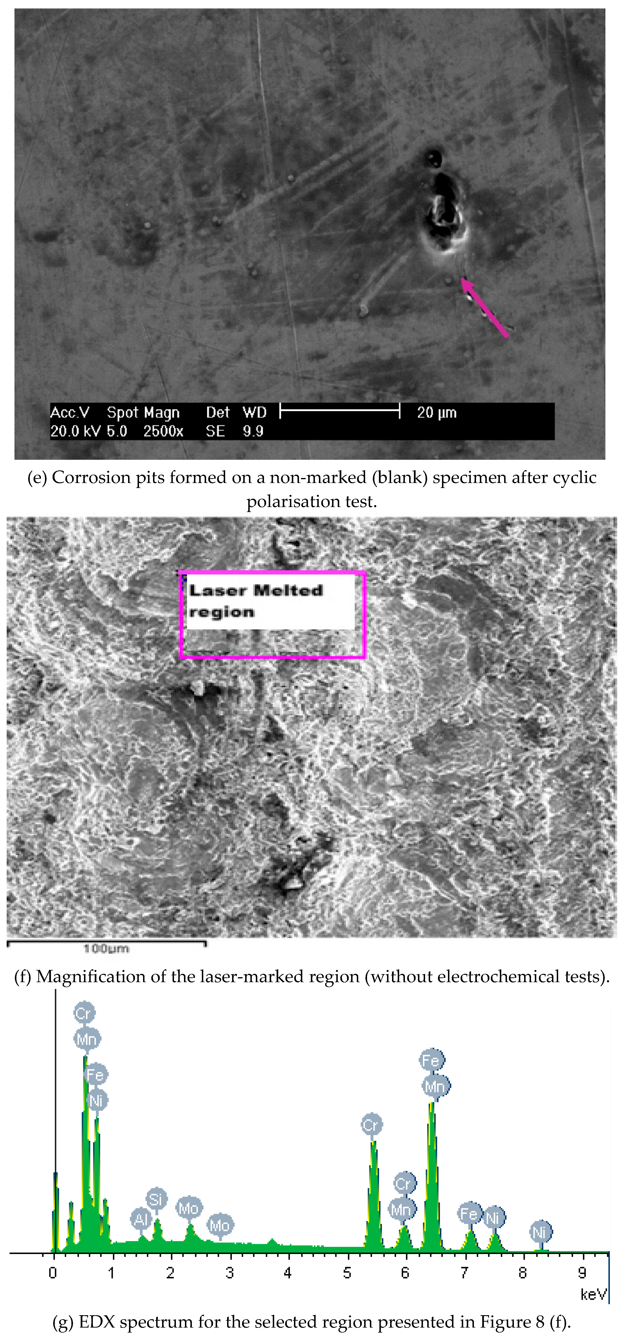 Preprints 167568 g008c