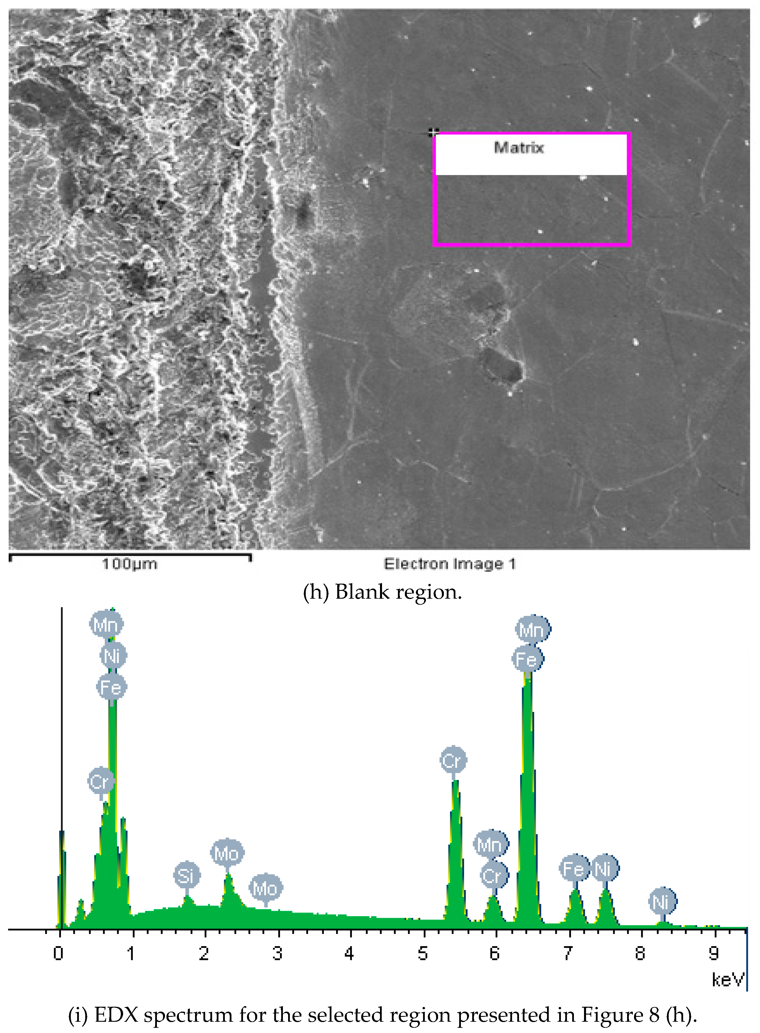Preprints 167568 g008d