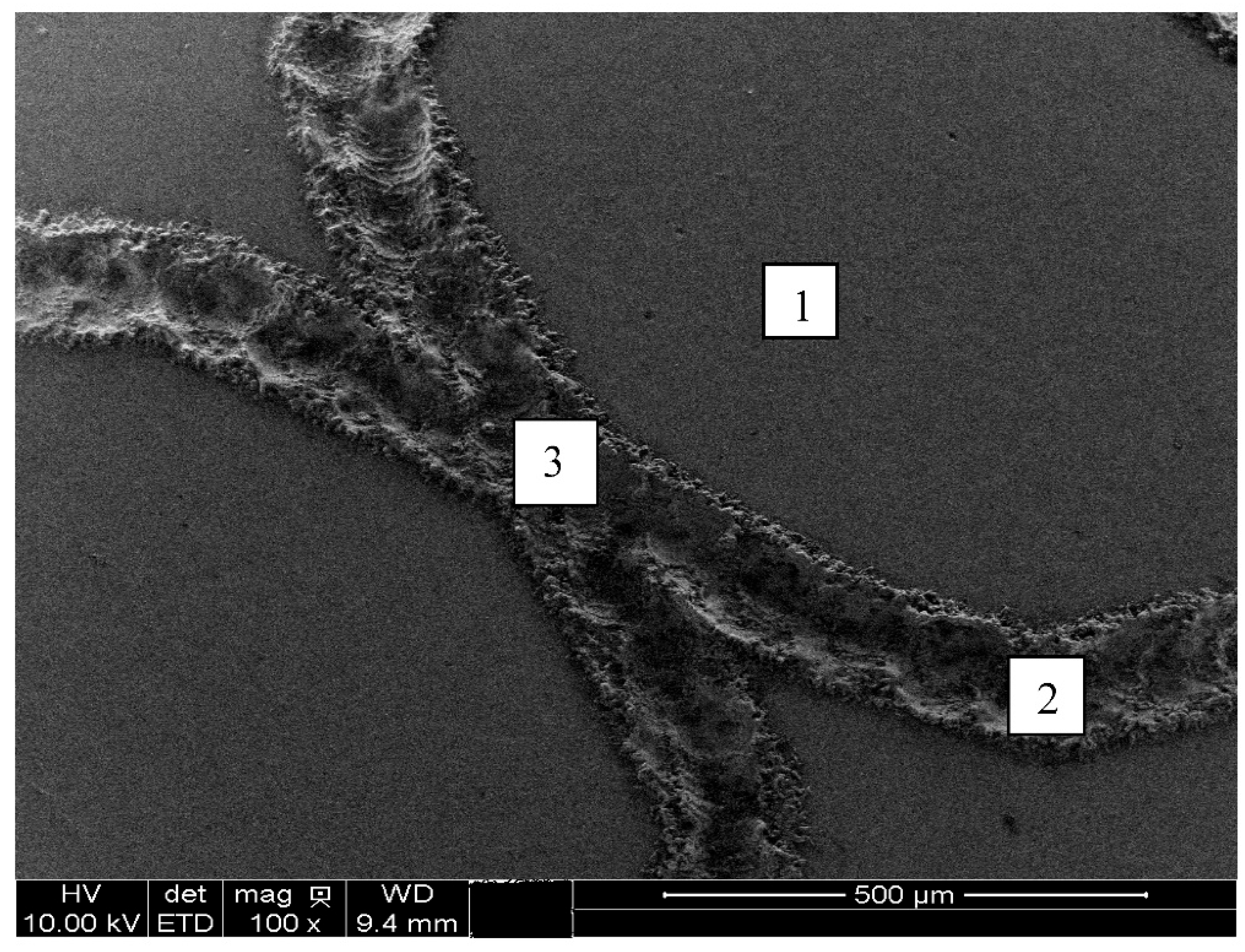 Preprints 167568 g009