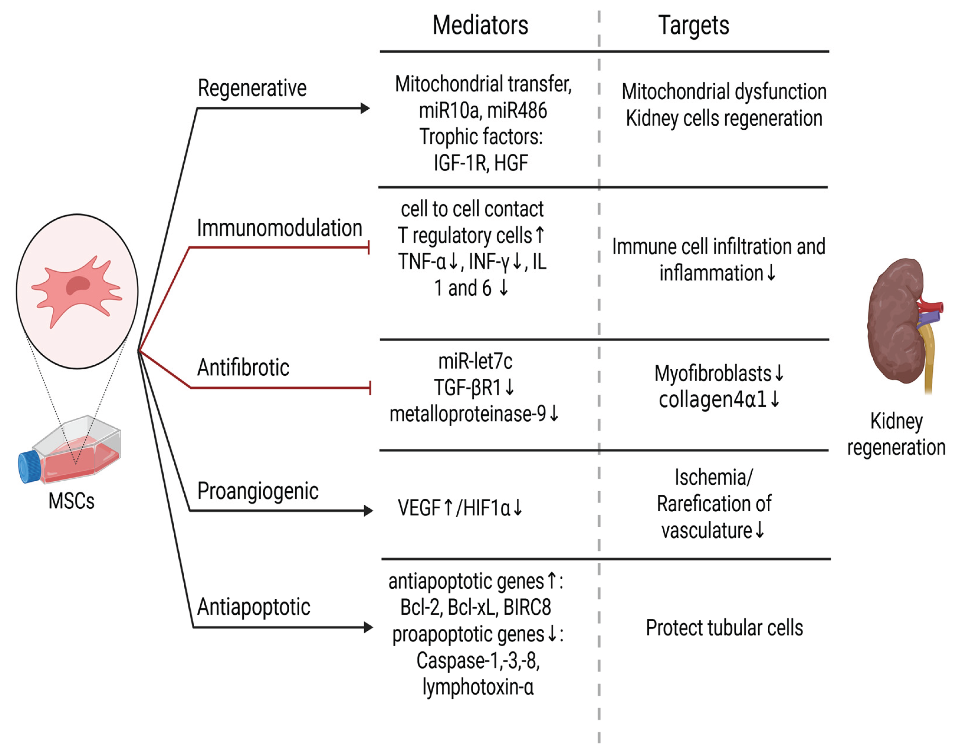 Preprints 173555 g001